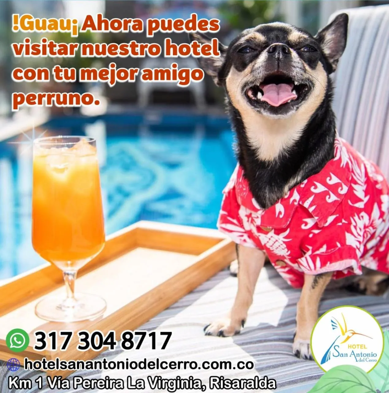 Pets in Hotel San Antonio del Cerro