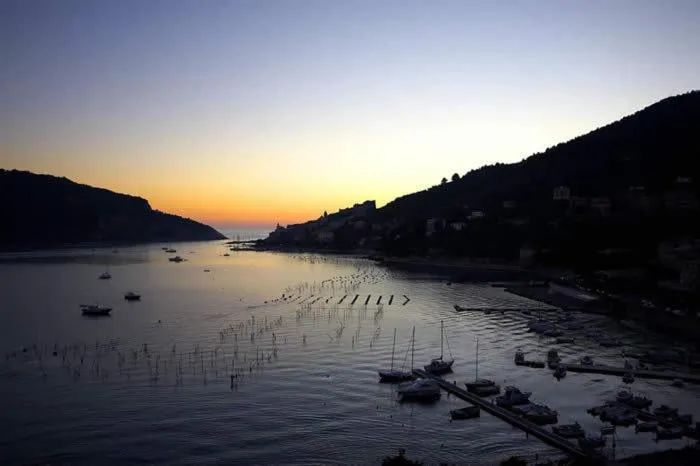 Area and facilities in Residence I Gabbiani