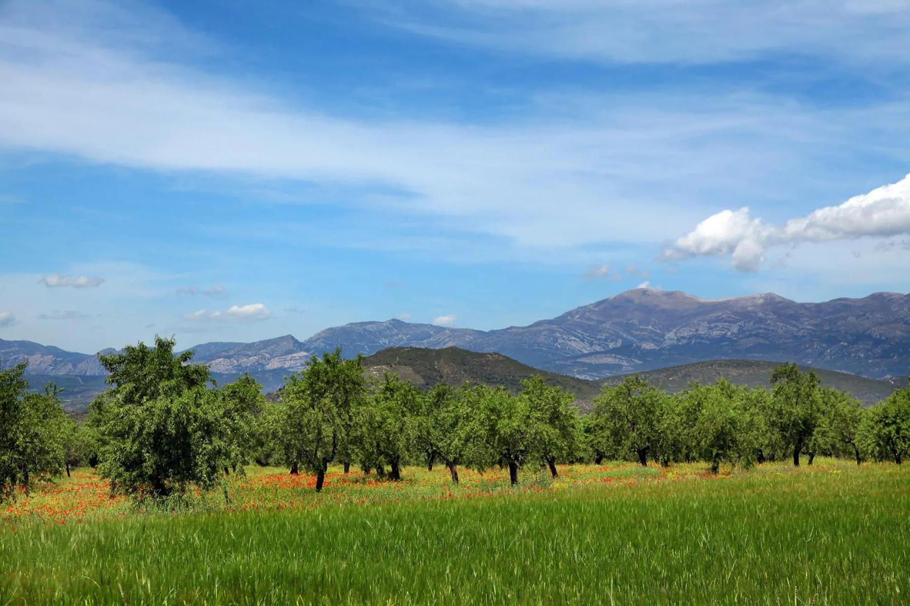 Natural landscape in Hostería de Guara