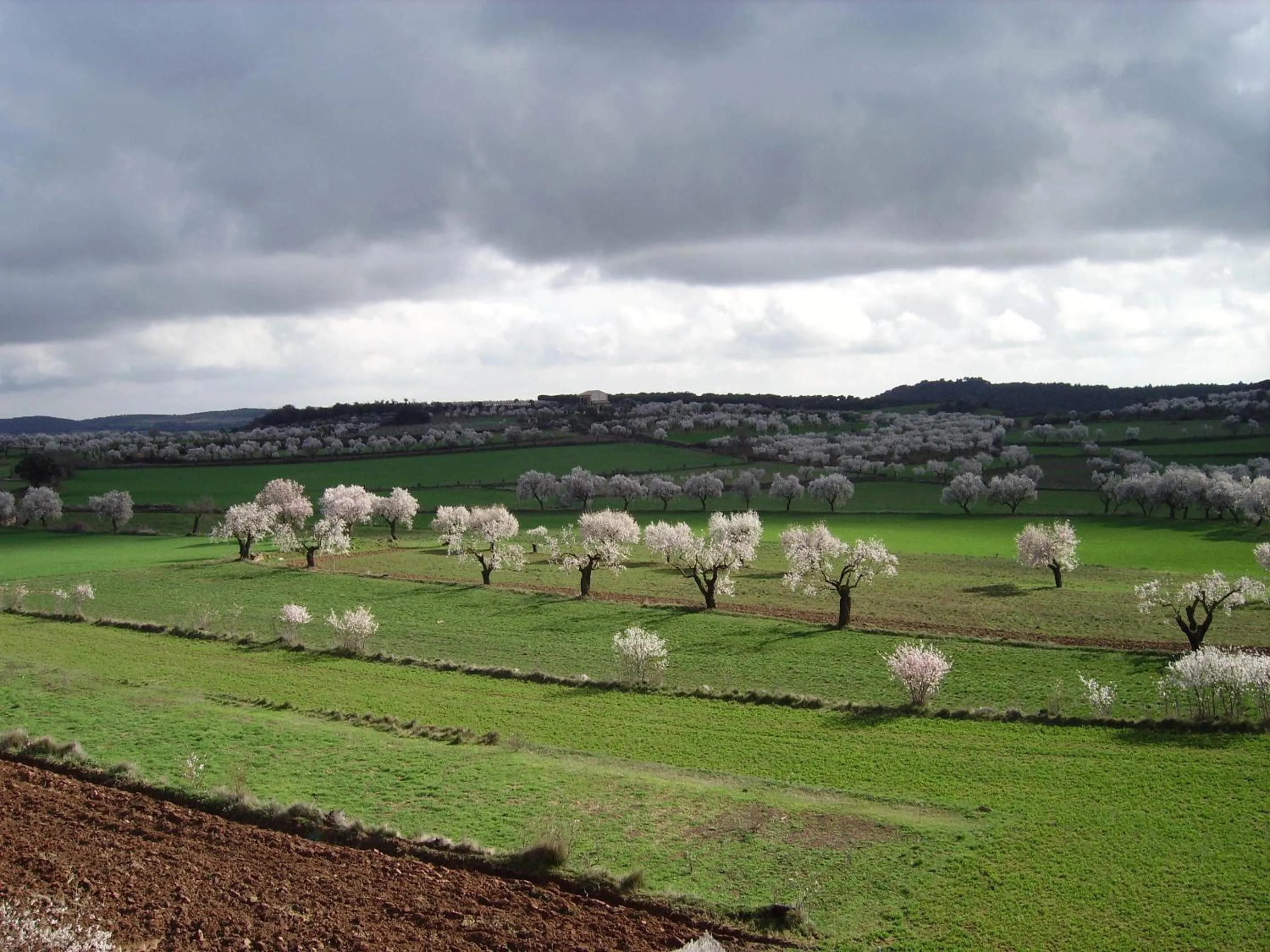 Area and facilities in Hostería de Guara