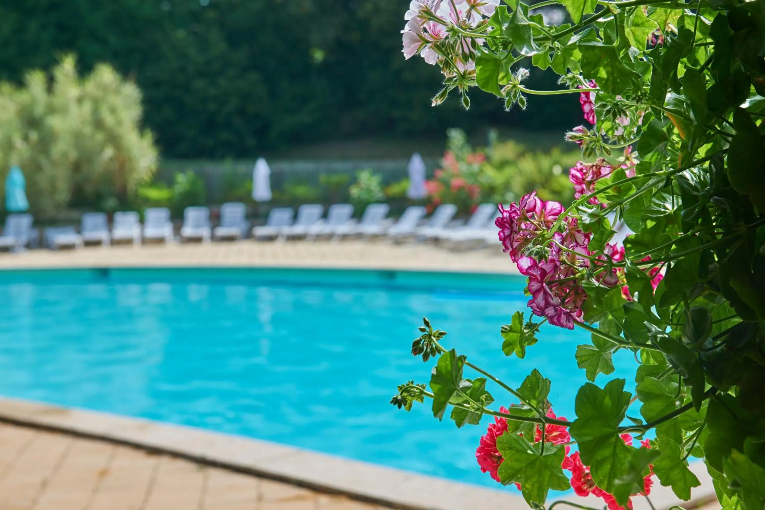 Swimming pool in Village de Montmarsis