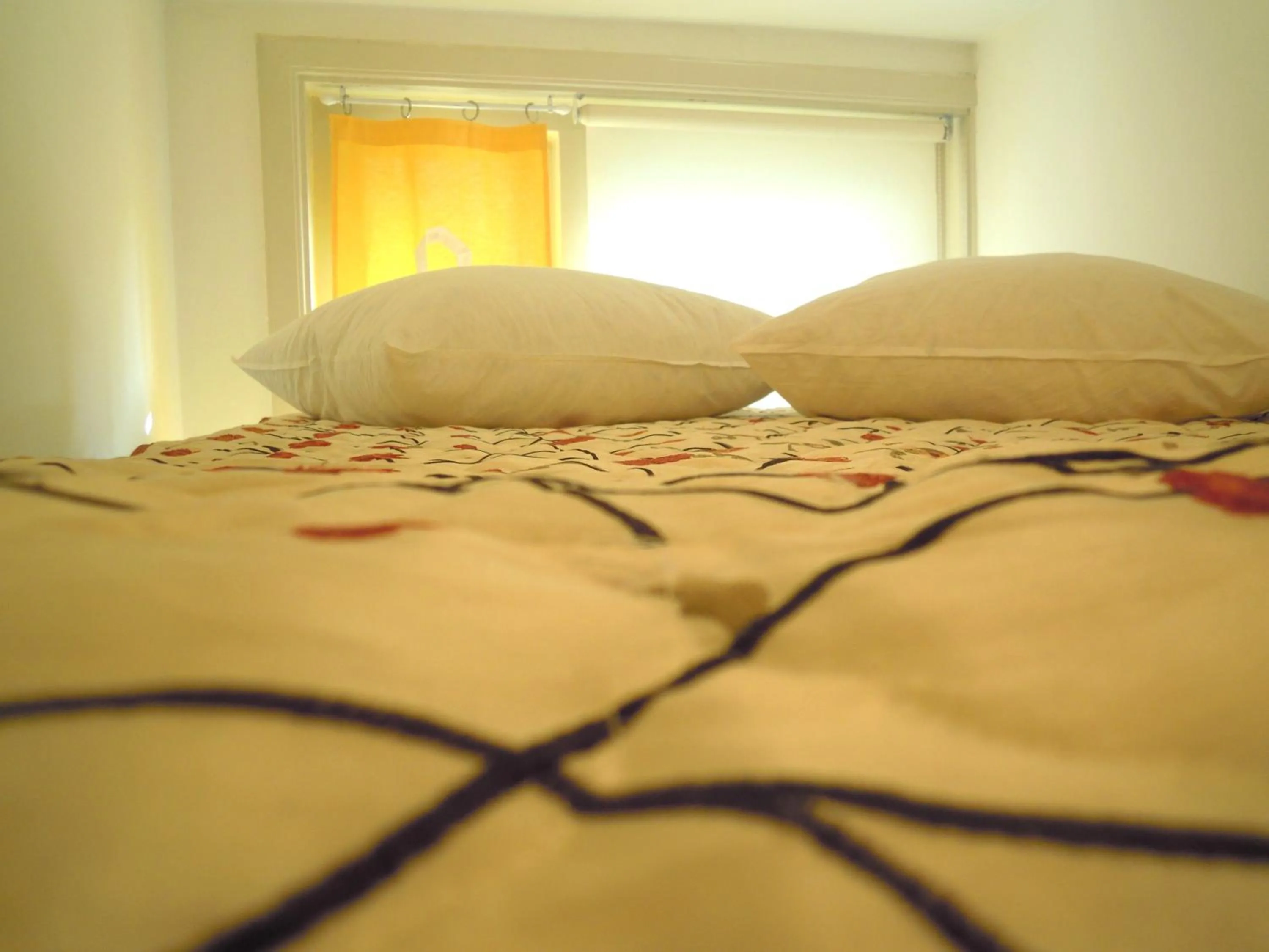 MissOrtelia B&B