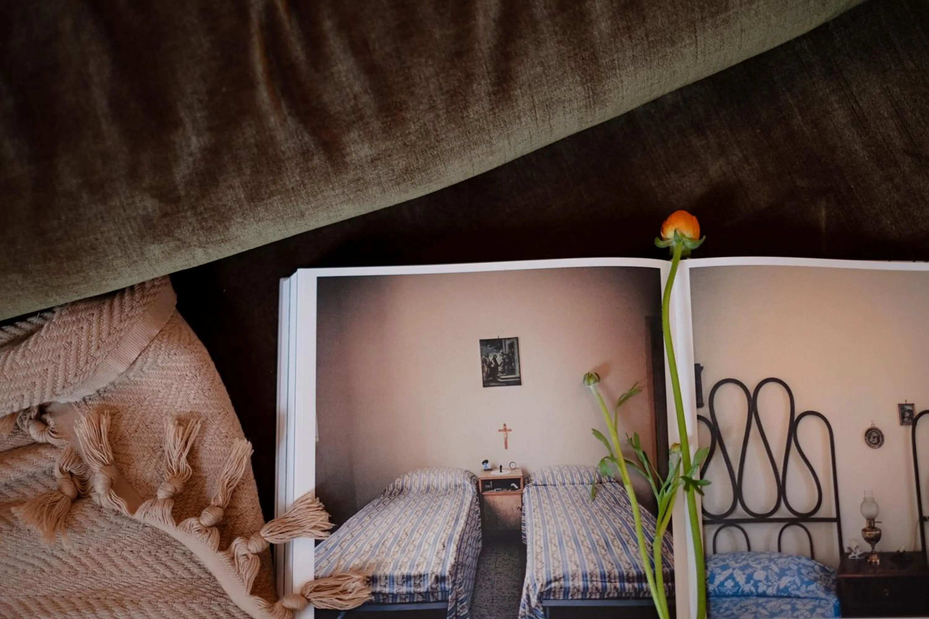 Library, Bed in Shila Athens