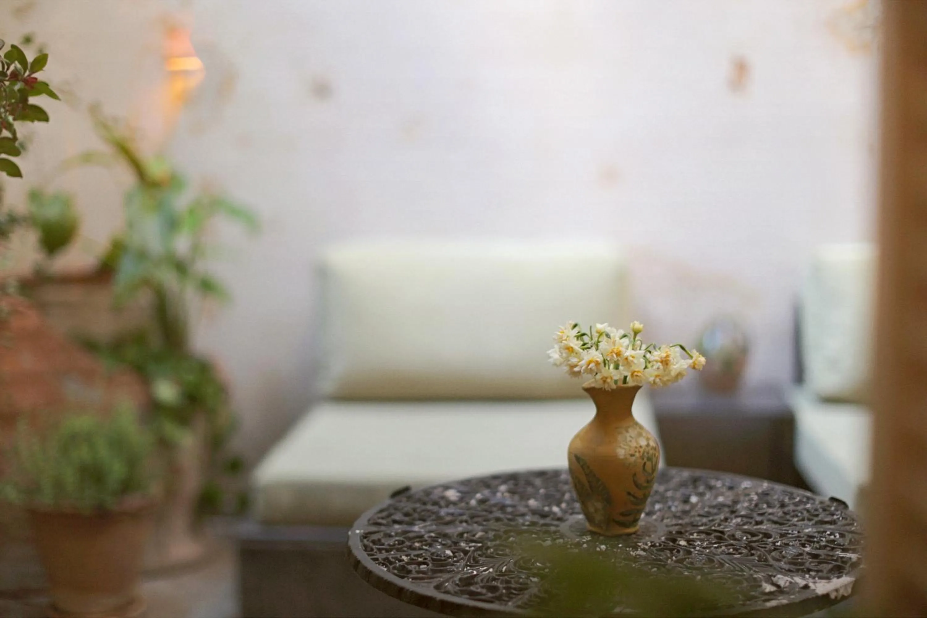 Garden in Shila Athens