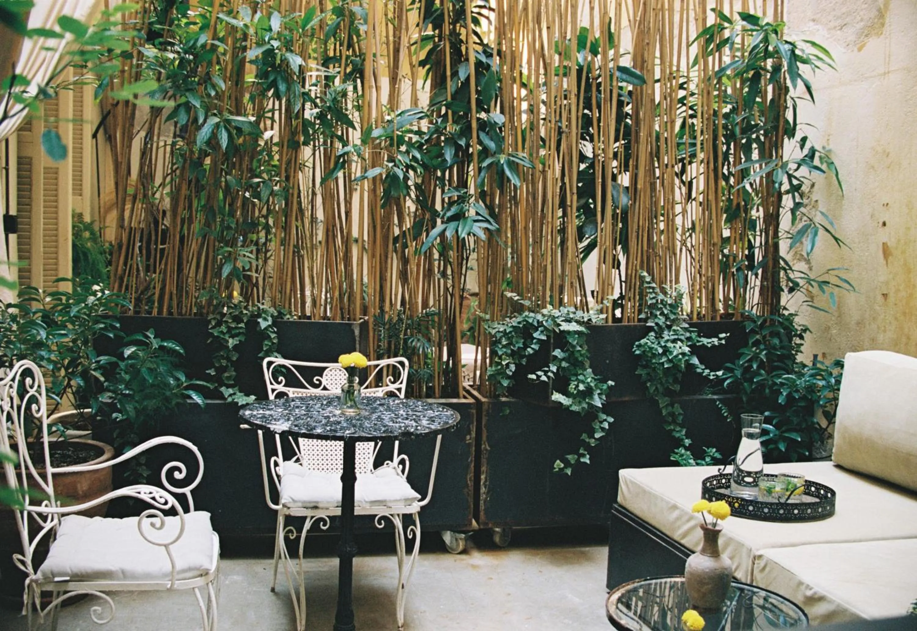 Garden in Shila Athens