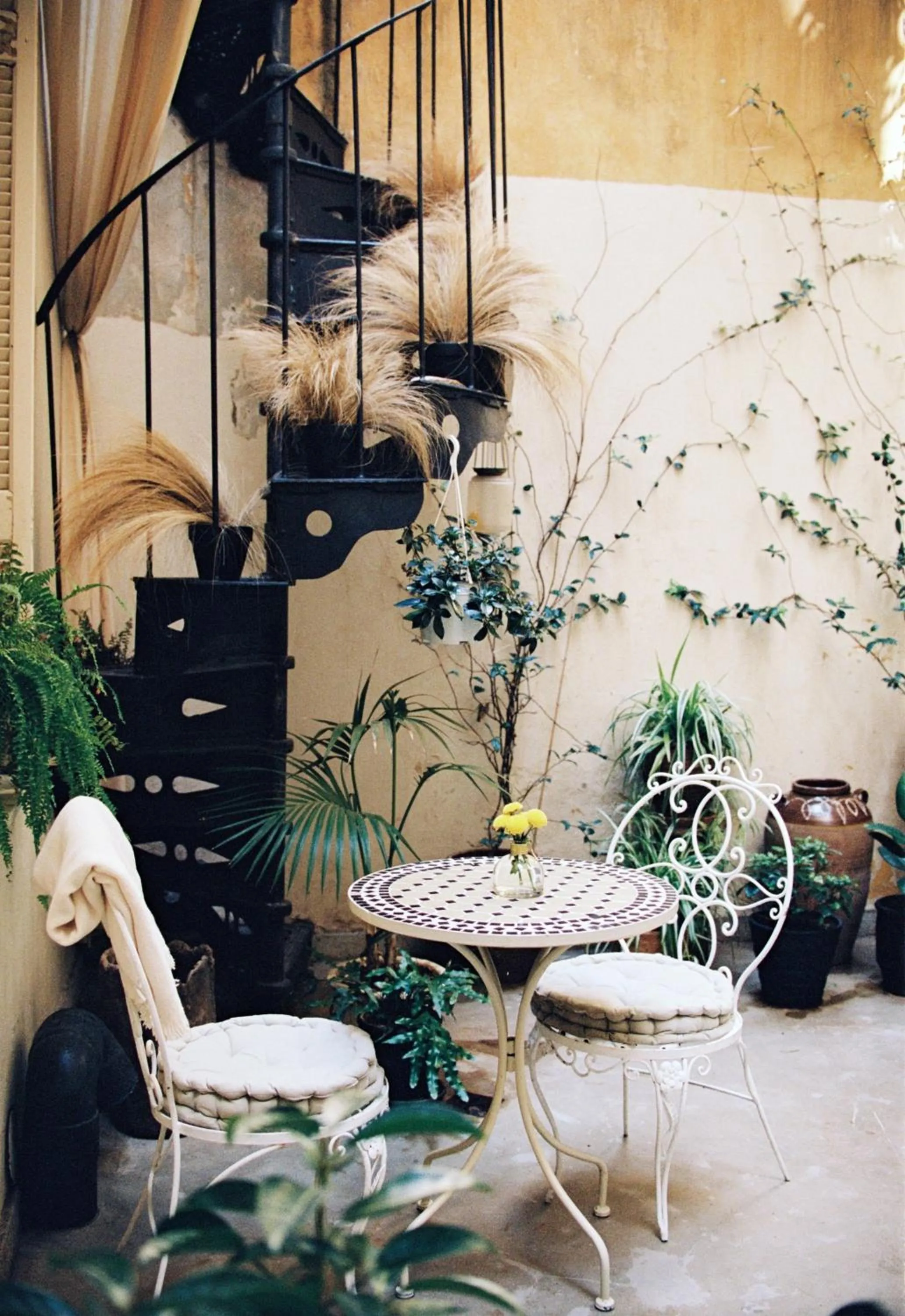 Garden in Shila Athens