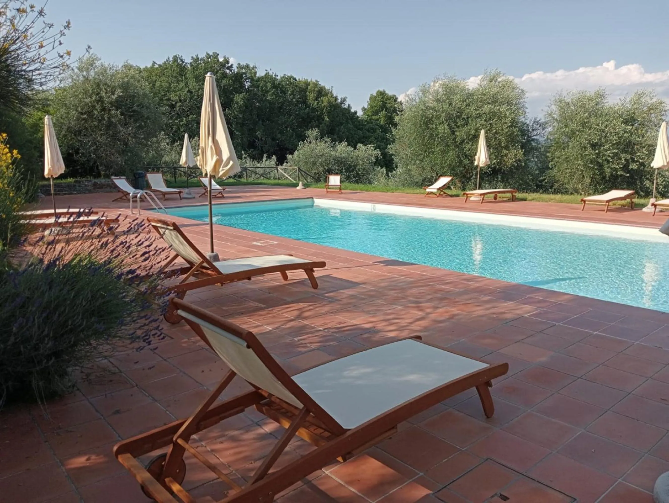 Pool view in CasaLeTolfe Residence