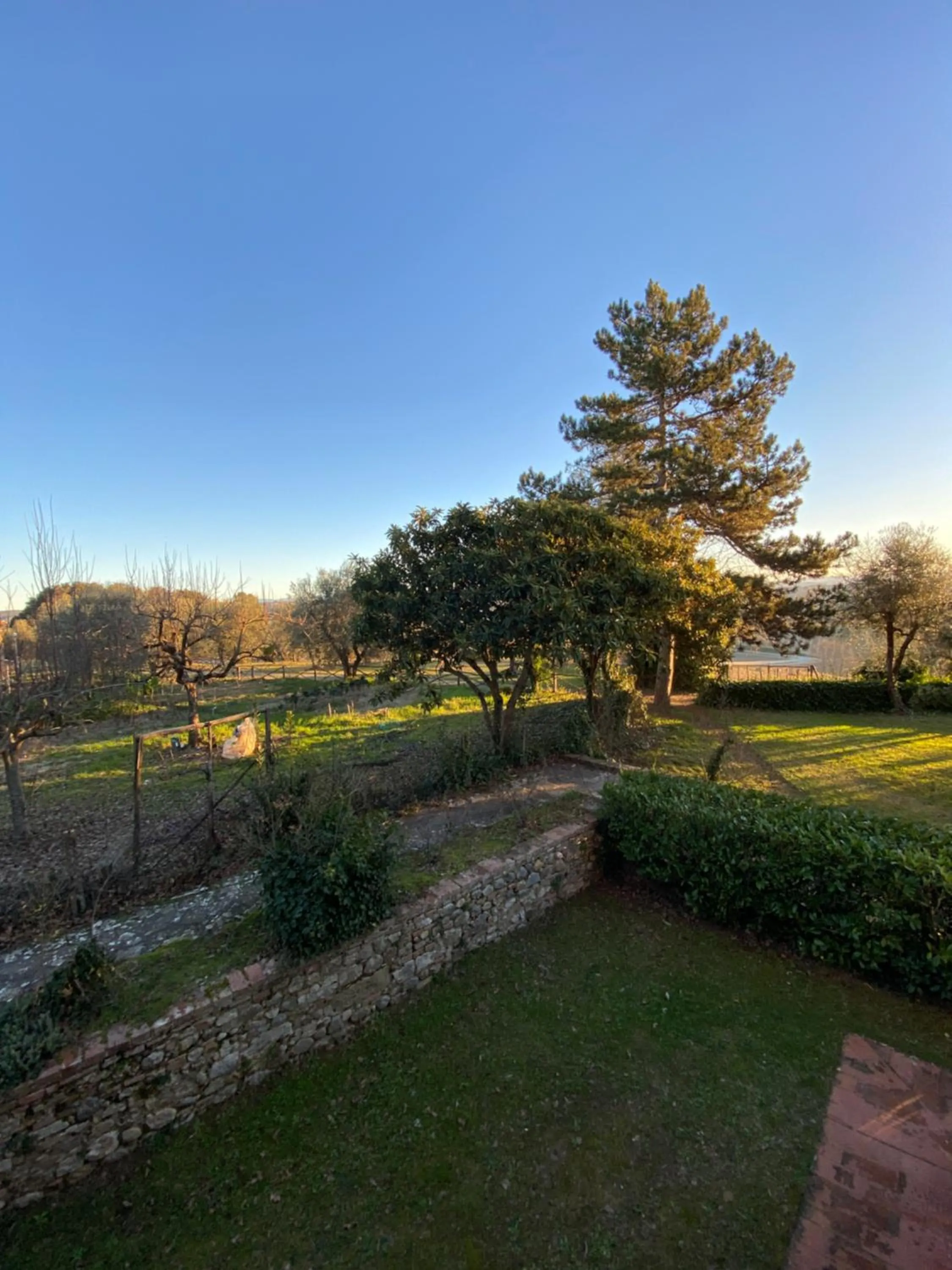 Garden in CasaLeTolfe Residence