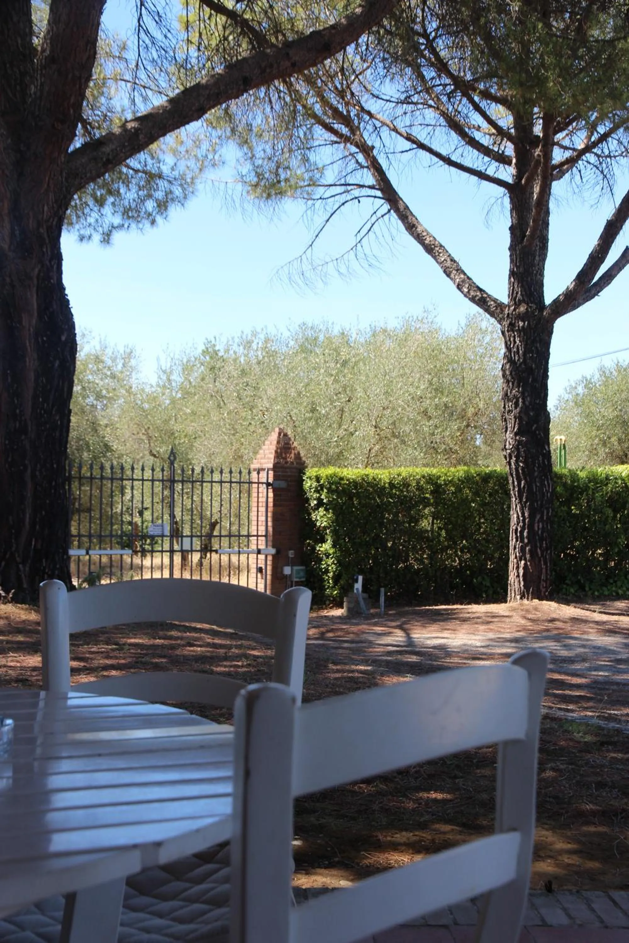 Garden in CasaLeTolfe Residence