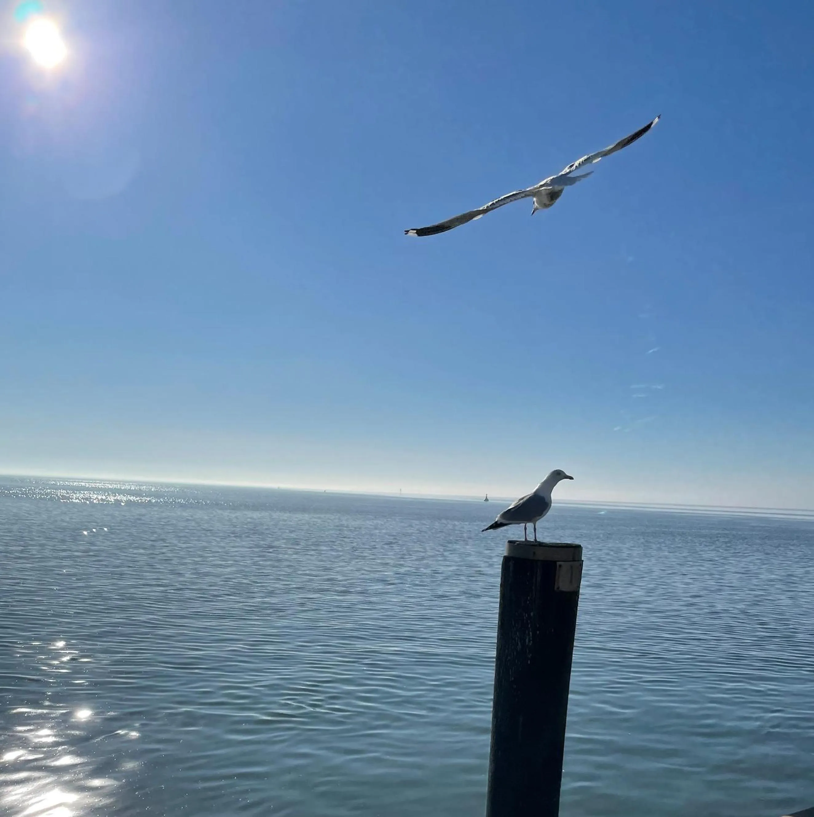 Natural landscape in Paulsen's Landhotel und Restaurant