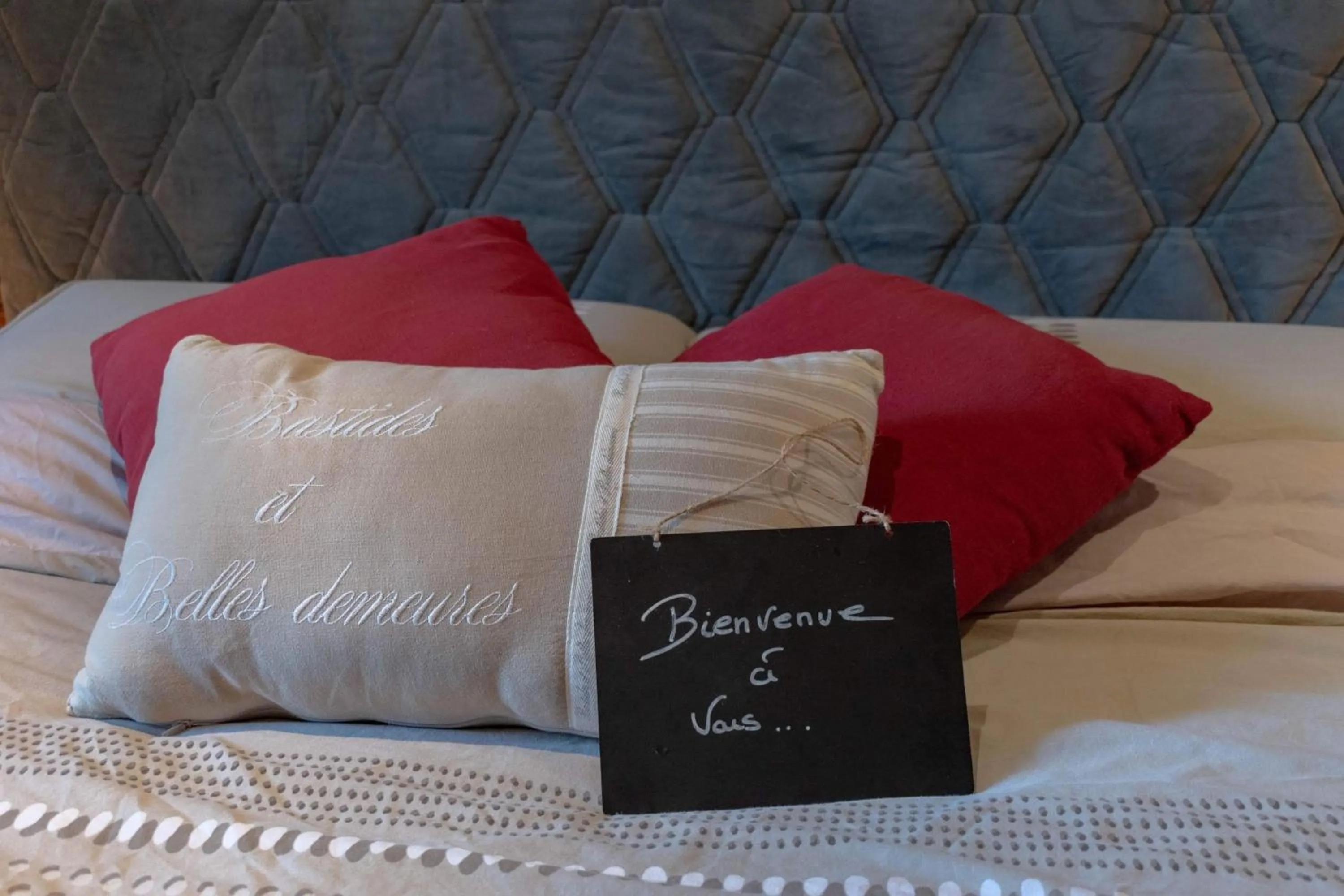 Double Room - single occupancy in Manoir de la coudre