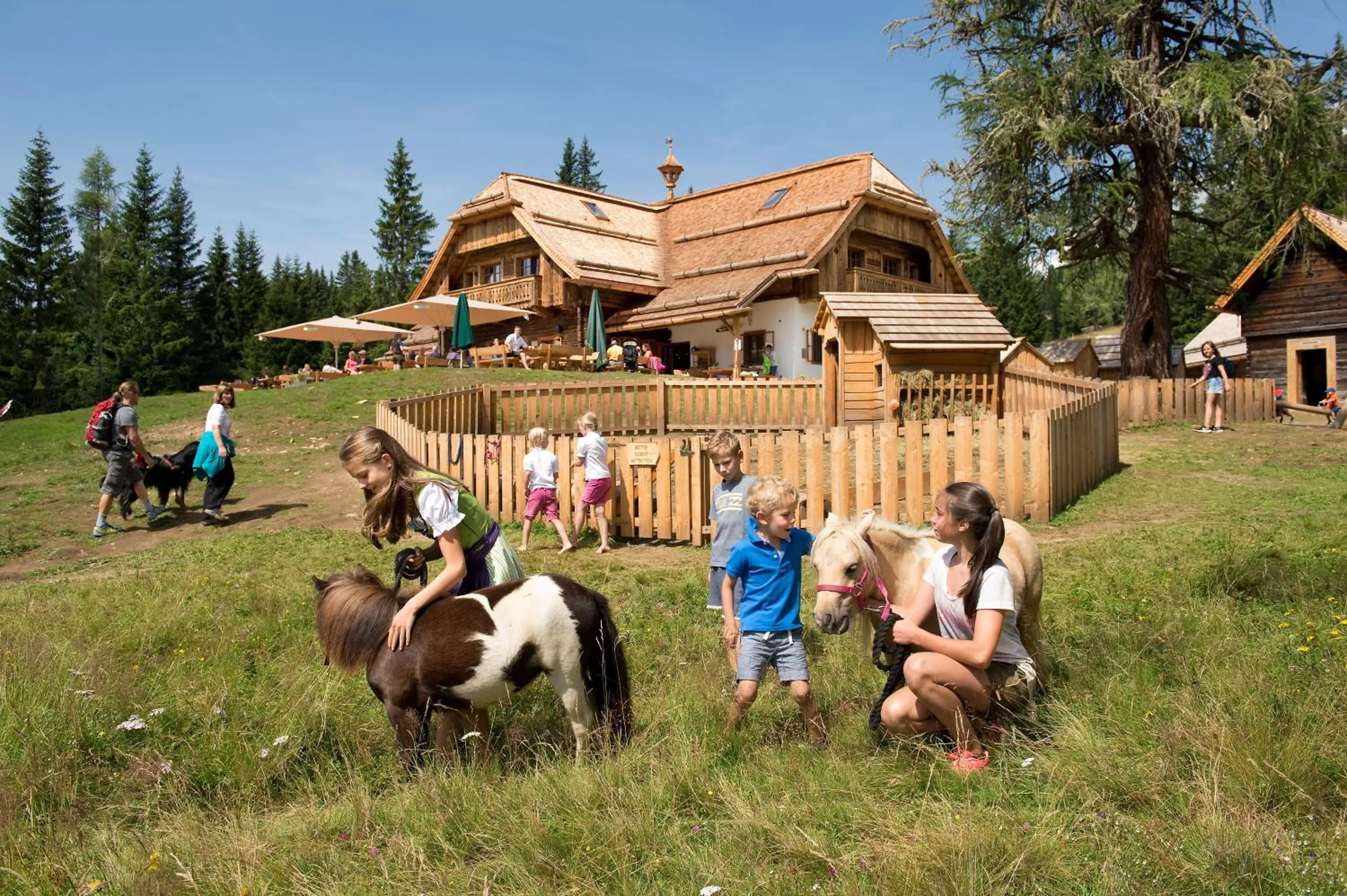 Activities in Ludlalm am Prebersee