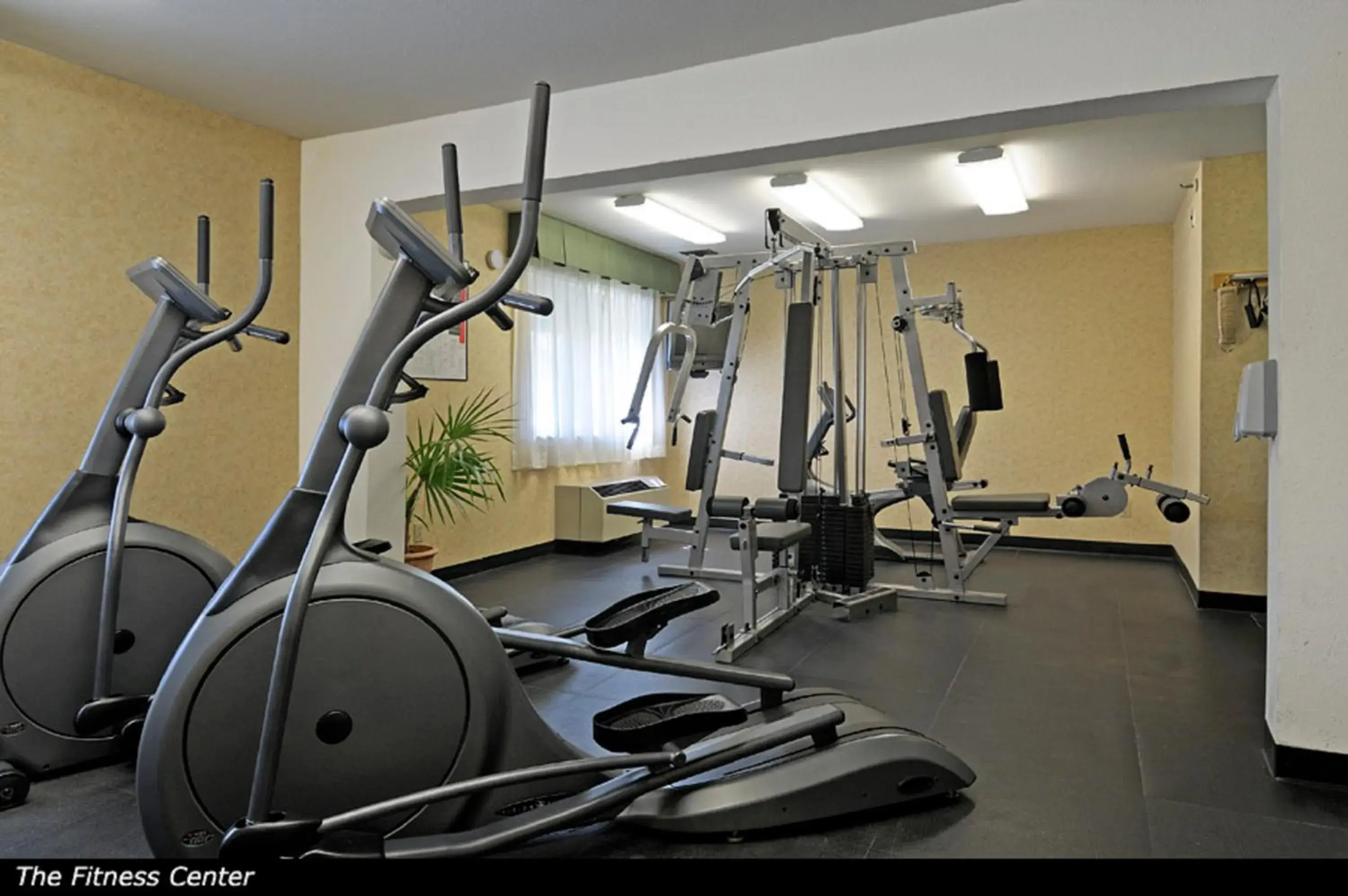 Fitness centre/facilities in Maple Tree Inn Fitness centre/facilities in Maple Tree Inn