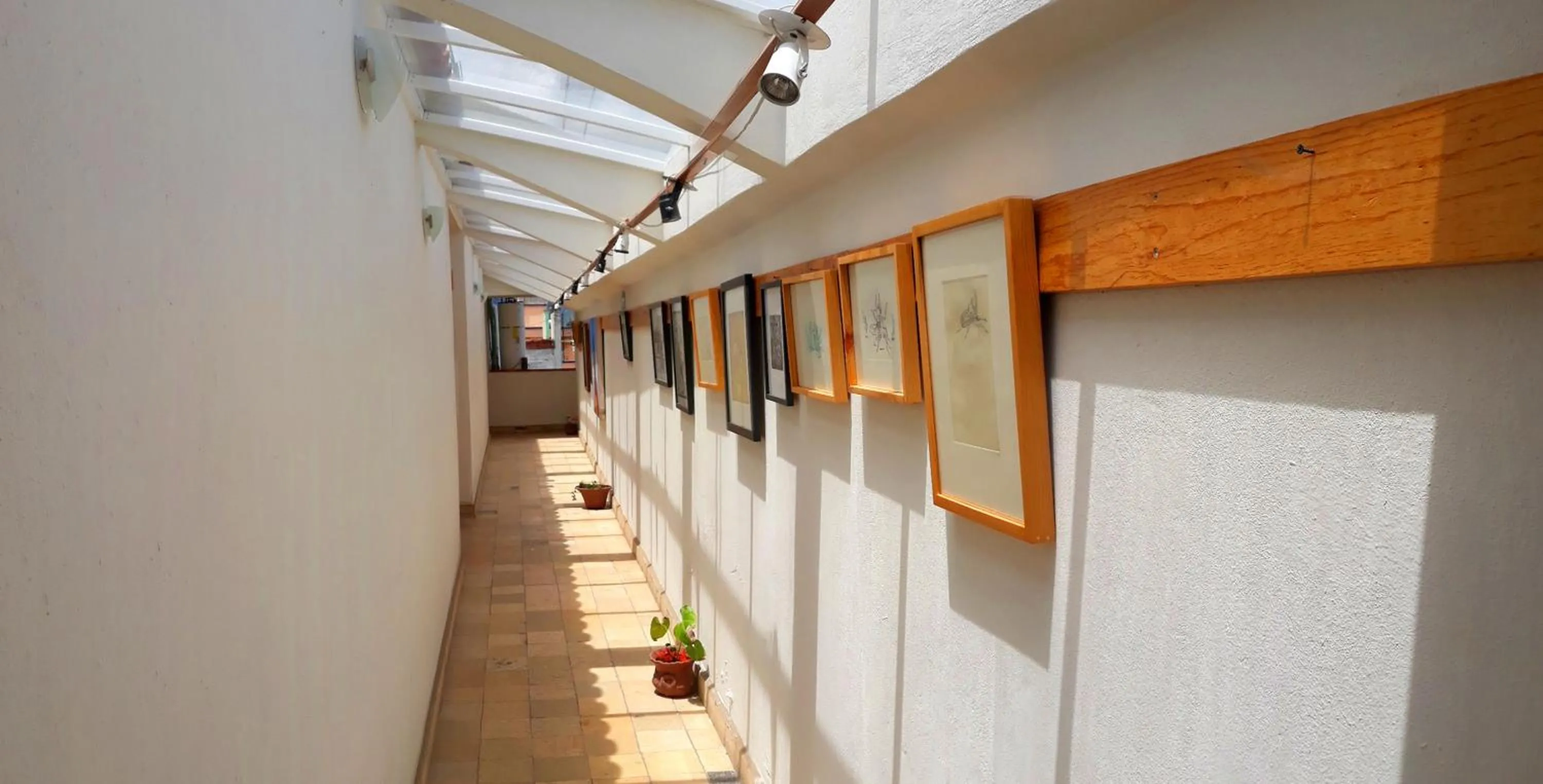 Patio in Axkan Arte Hotel