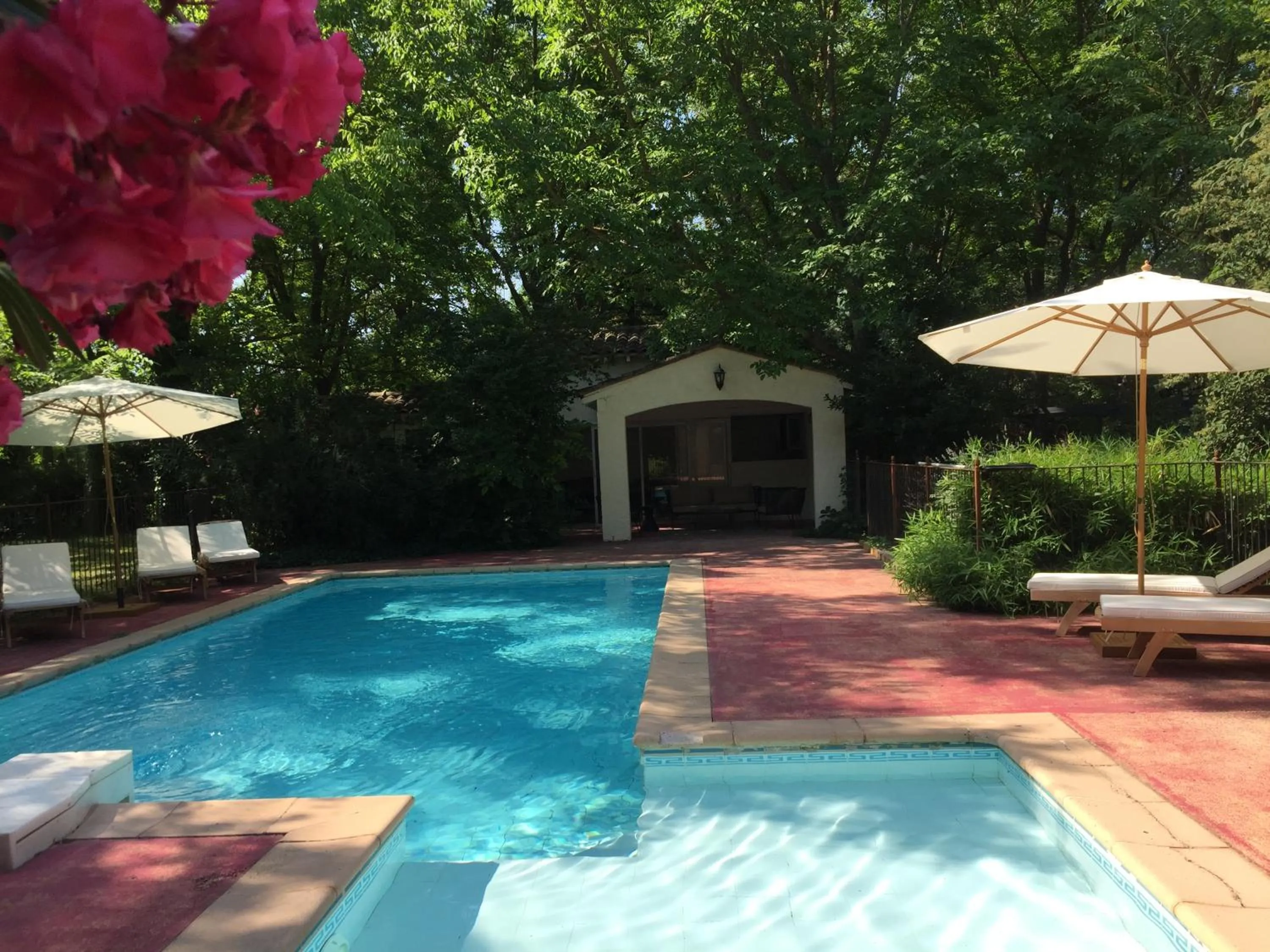 Pool view in Serendip