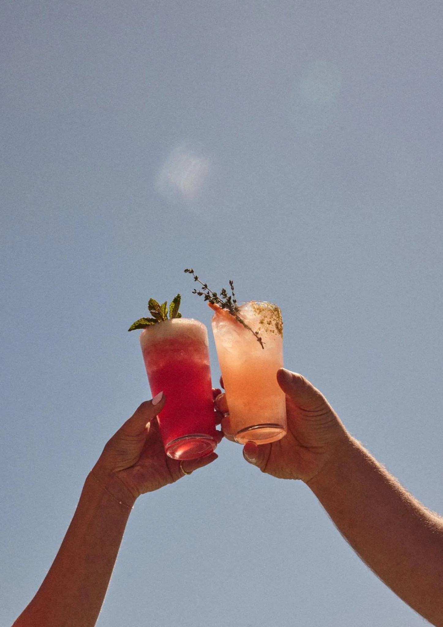 Restaurant/places to eat in Hotel Erwin Venice Beach