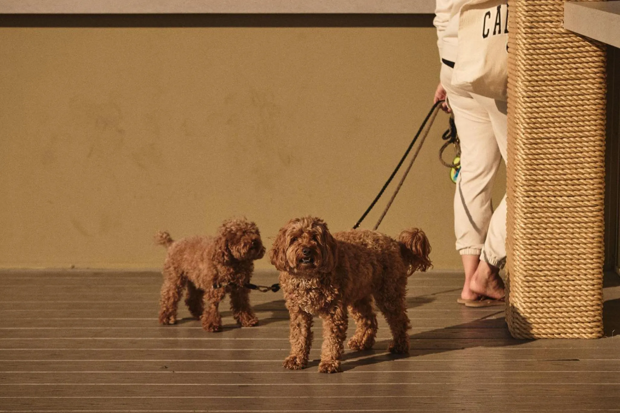 Restaurant/places to eat in Hotel Erwin Venice Beach