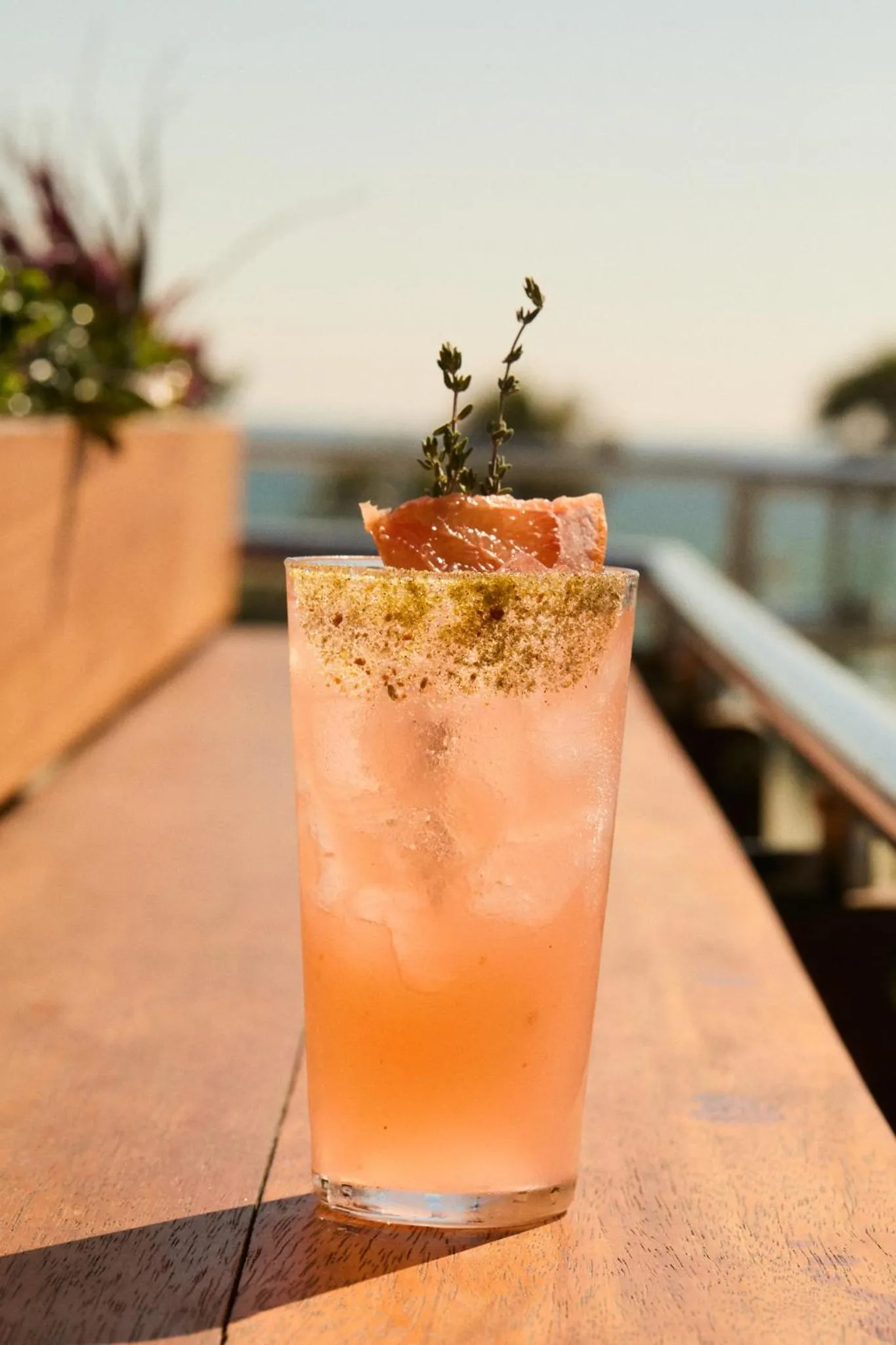 Restaurant/places to eat in Hotel Erwin Venice Beach