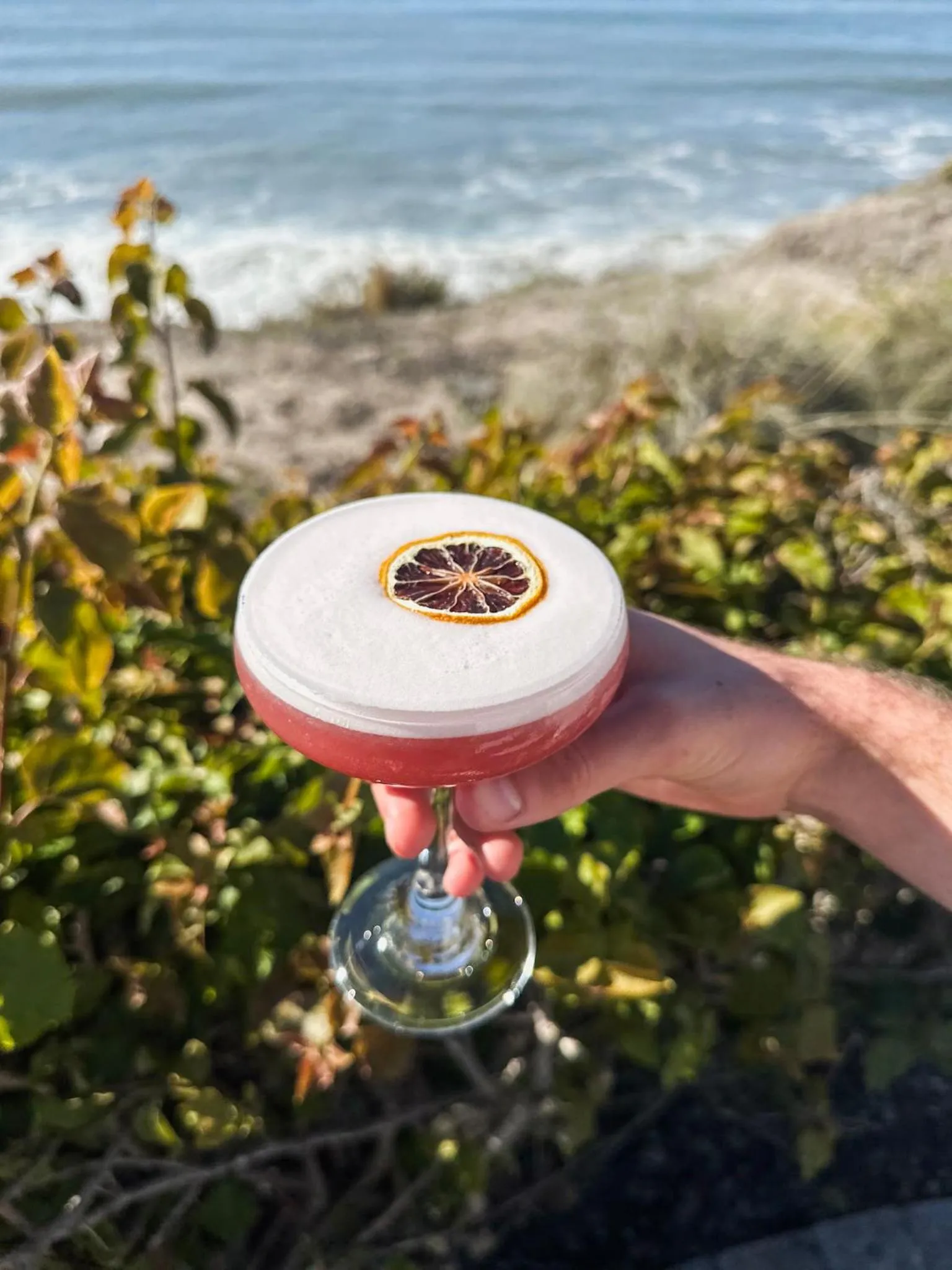 Dolphin Bay Resort and Spa