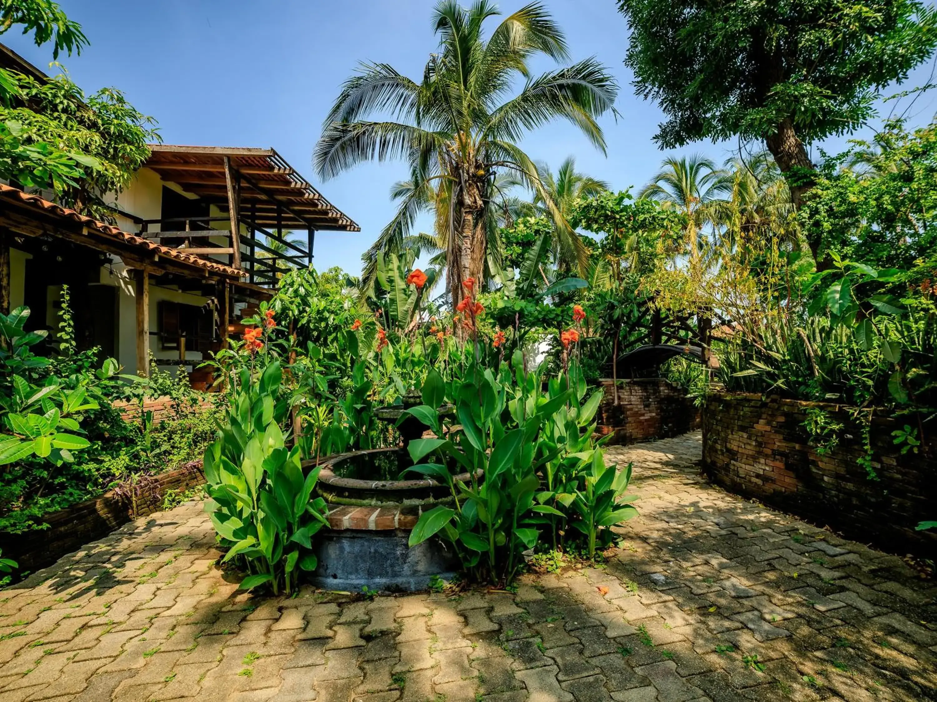 Garden in Capital O Verdemar, Pie de la Cuesta Garden in Capital O Verdemar, Pie de la Cuesta