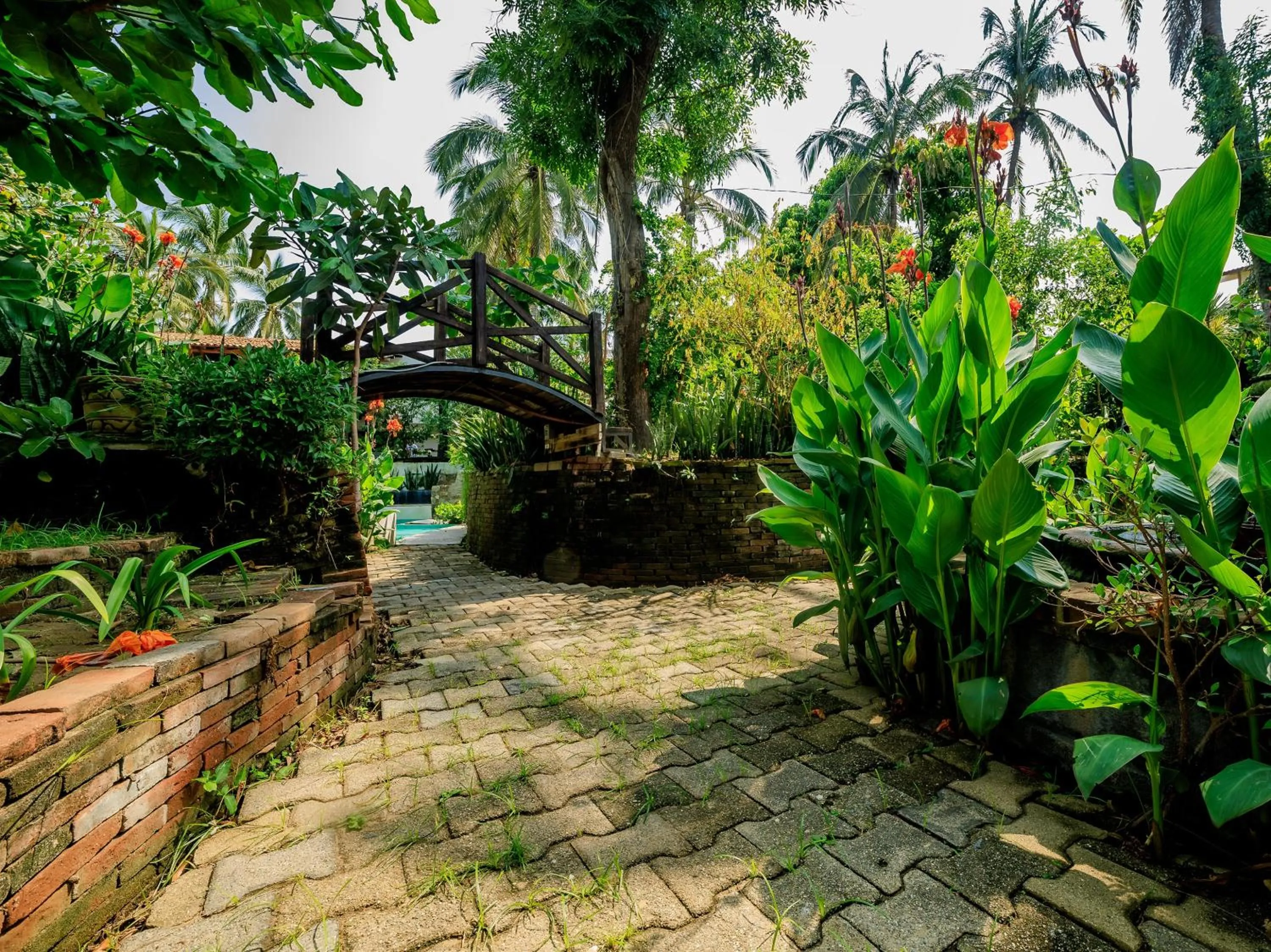 Garden in Capital O Verdemar, Pie de la Cuesta