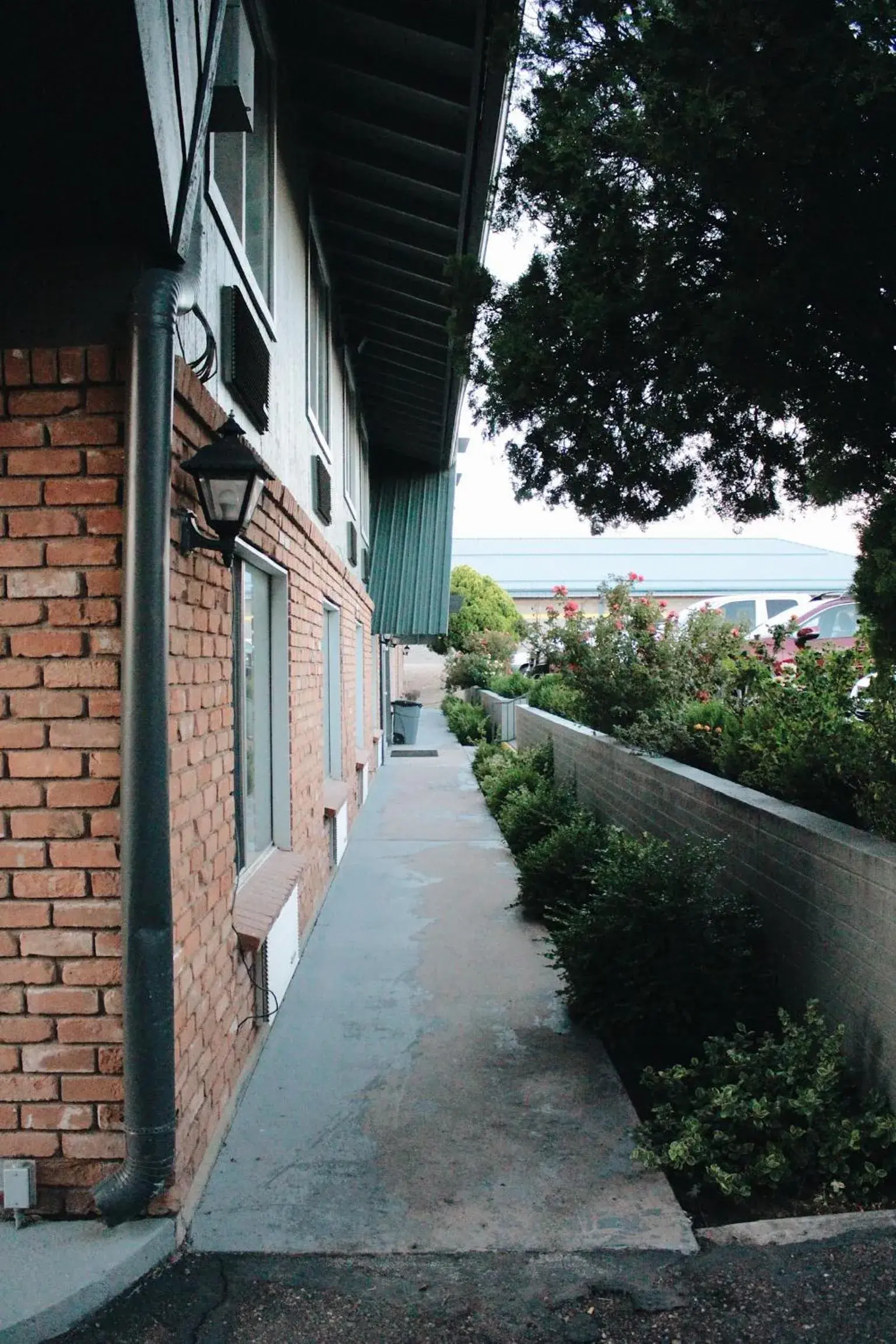 Facade/entrance in Days Inn by Wyndham Show Low Facade/entrance in Days Inn by Wyndham Show Low