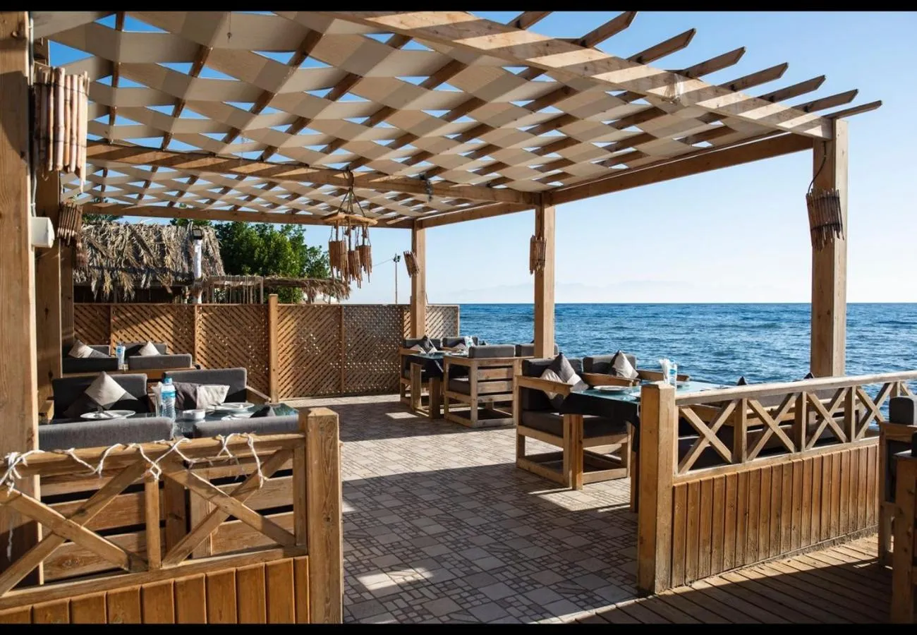 Penguin Village Dahab