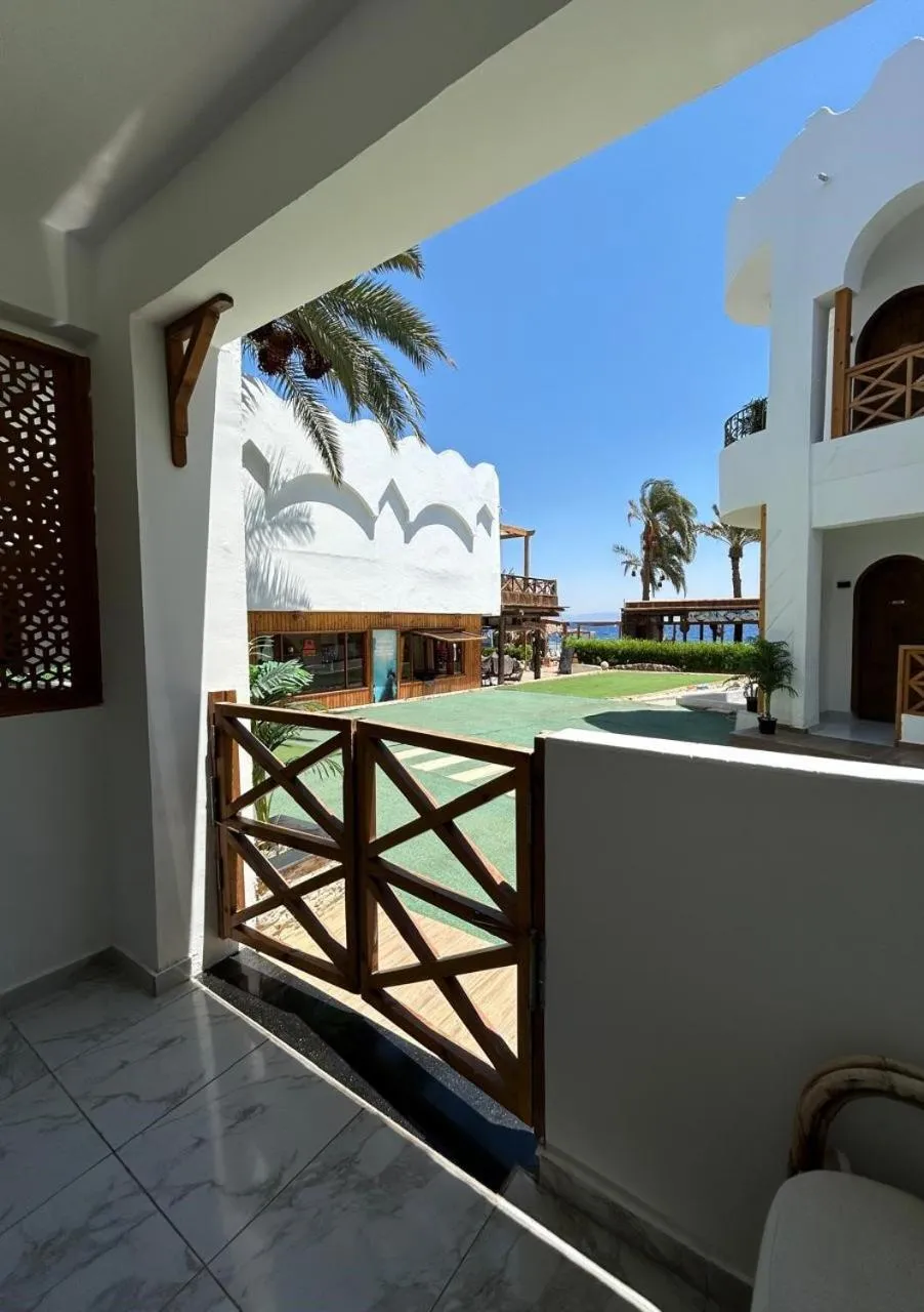 Penguin Village Dahab