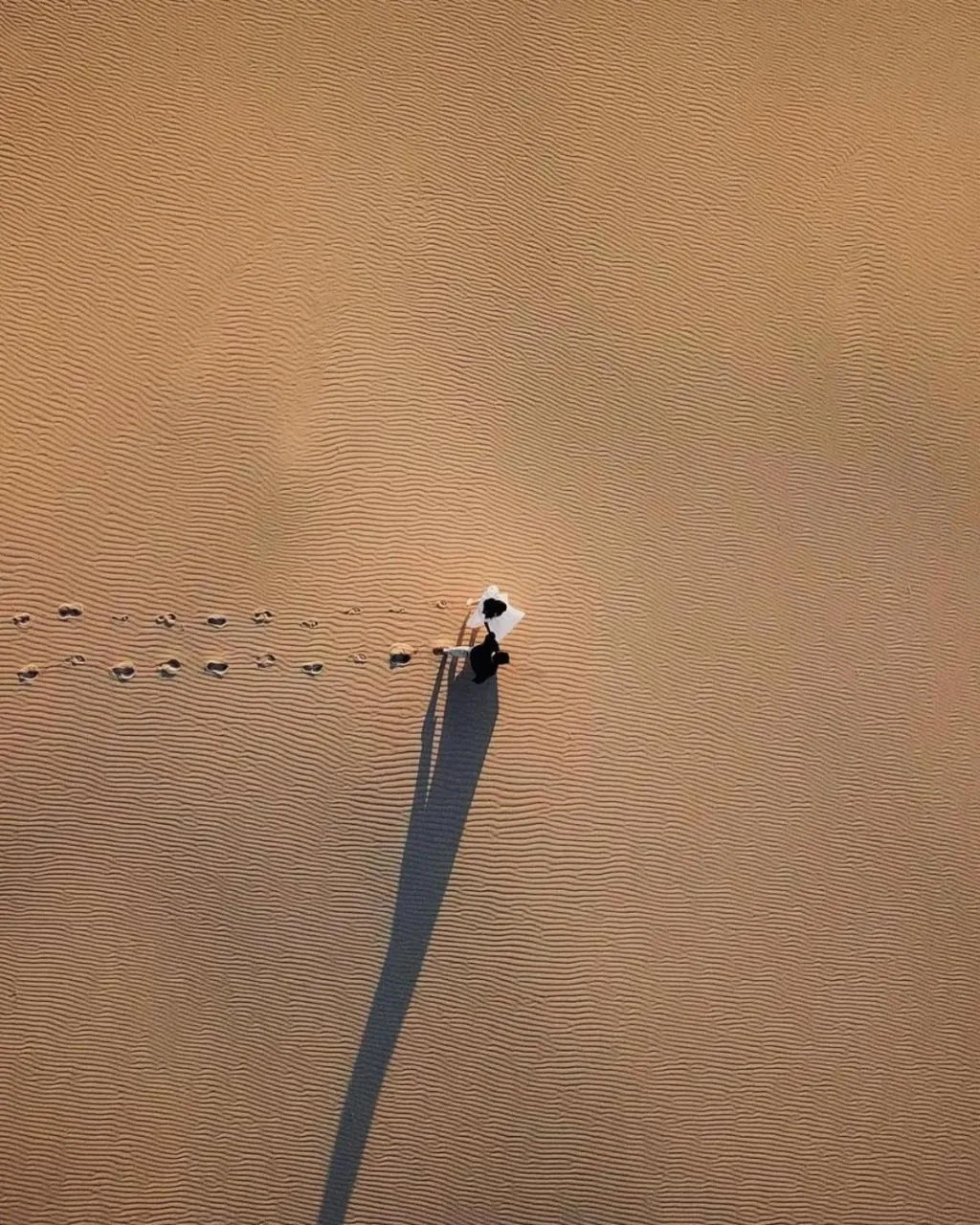 Activities in The Retreat Port Stephens