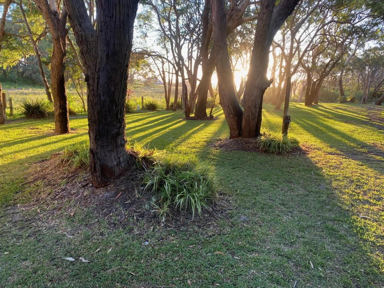 View (from property/room) in The Retreat Port Stephens