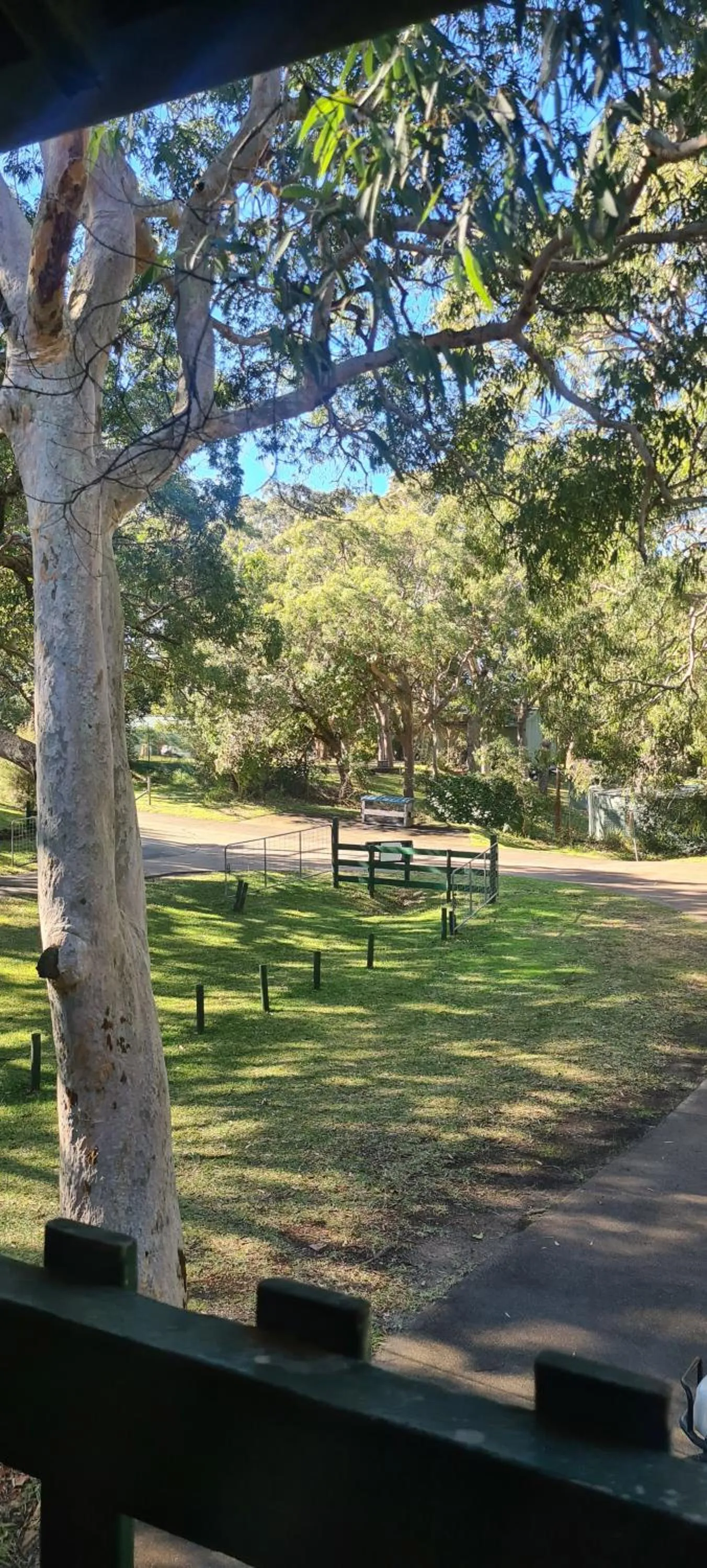View (from property/room) in The Retreat Port Stephens