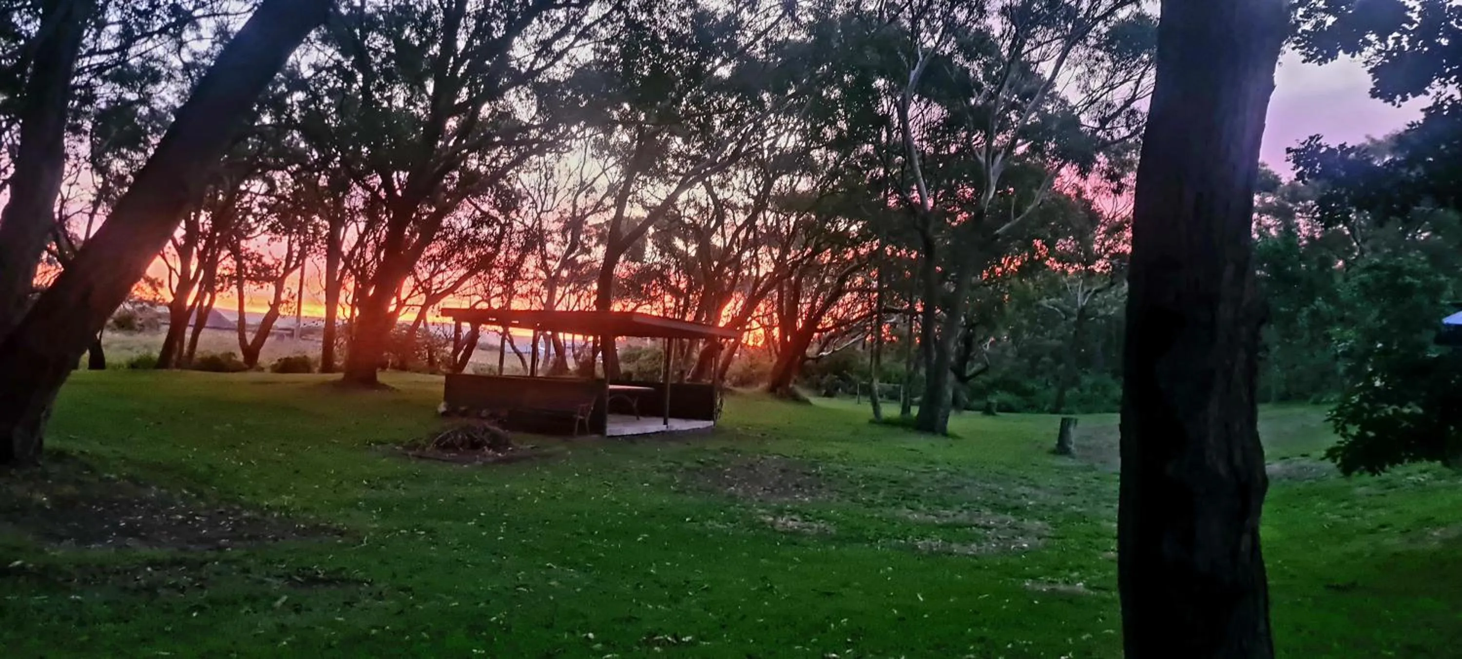 Summer in The Retreat Port Stephens