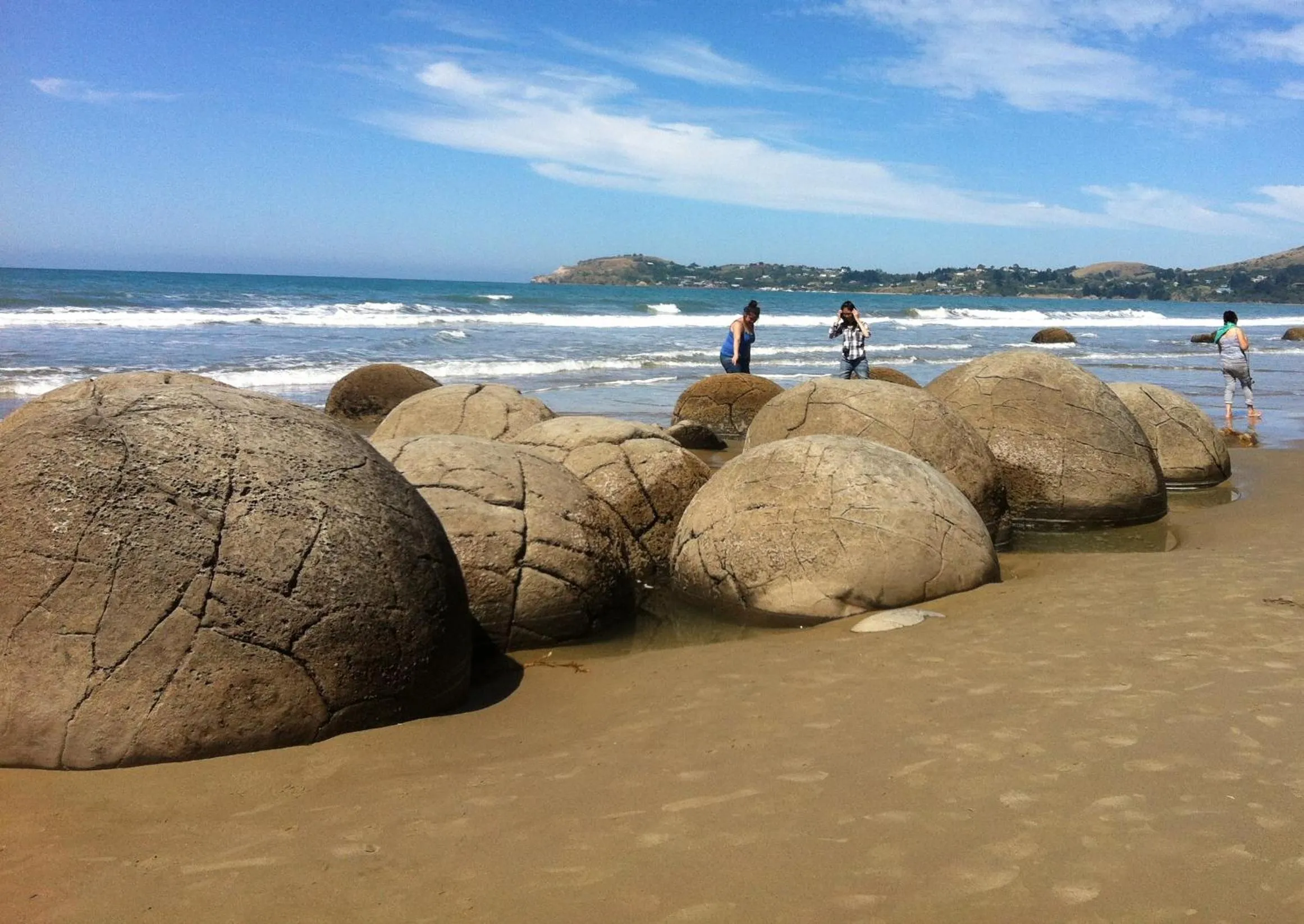 Natural landscape in Alpine Motel