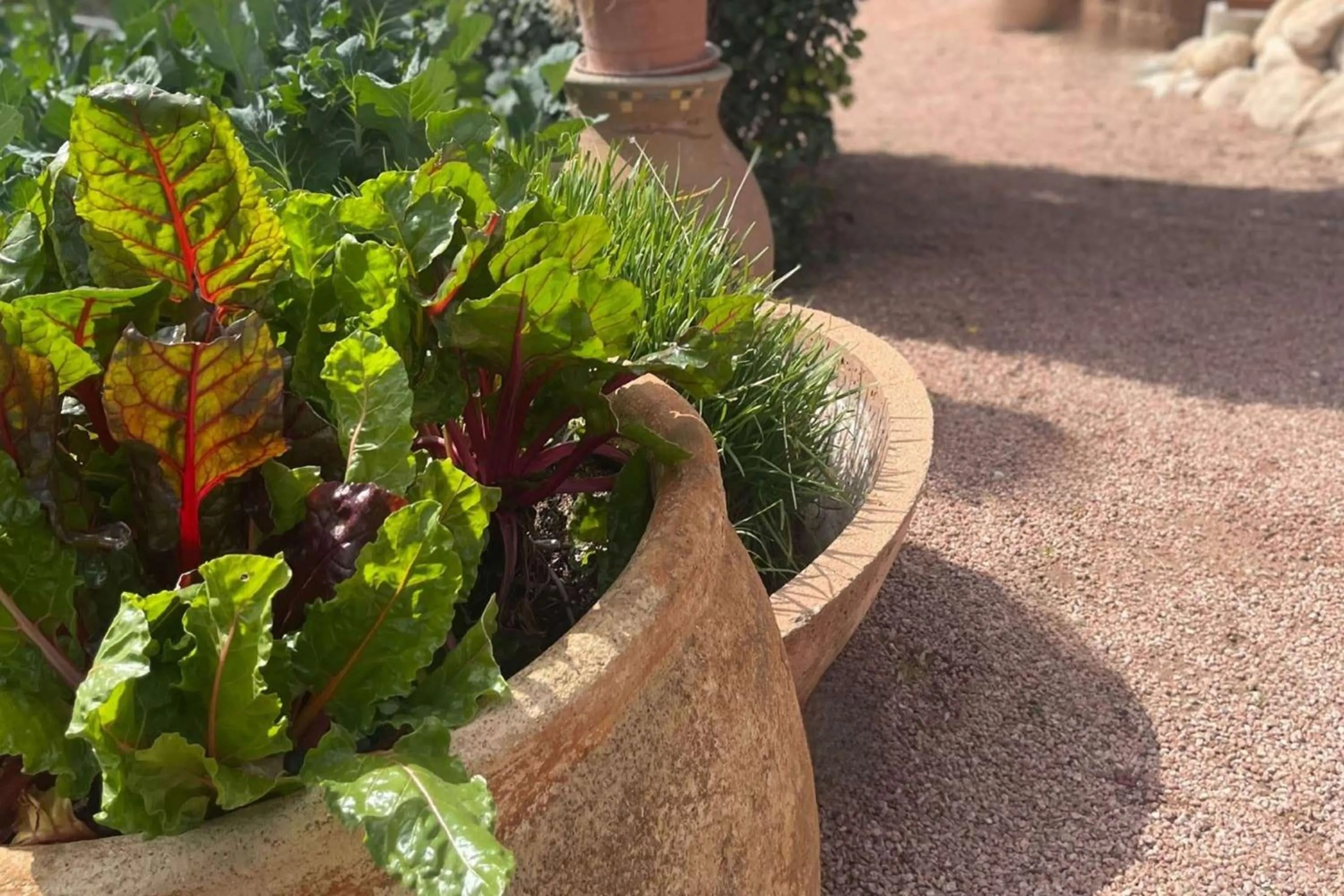 Other in Westward Look Wyndham Grand Resort & Spa