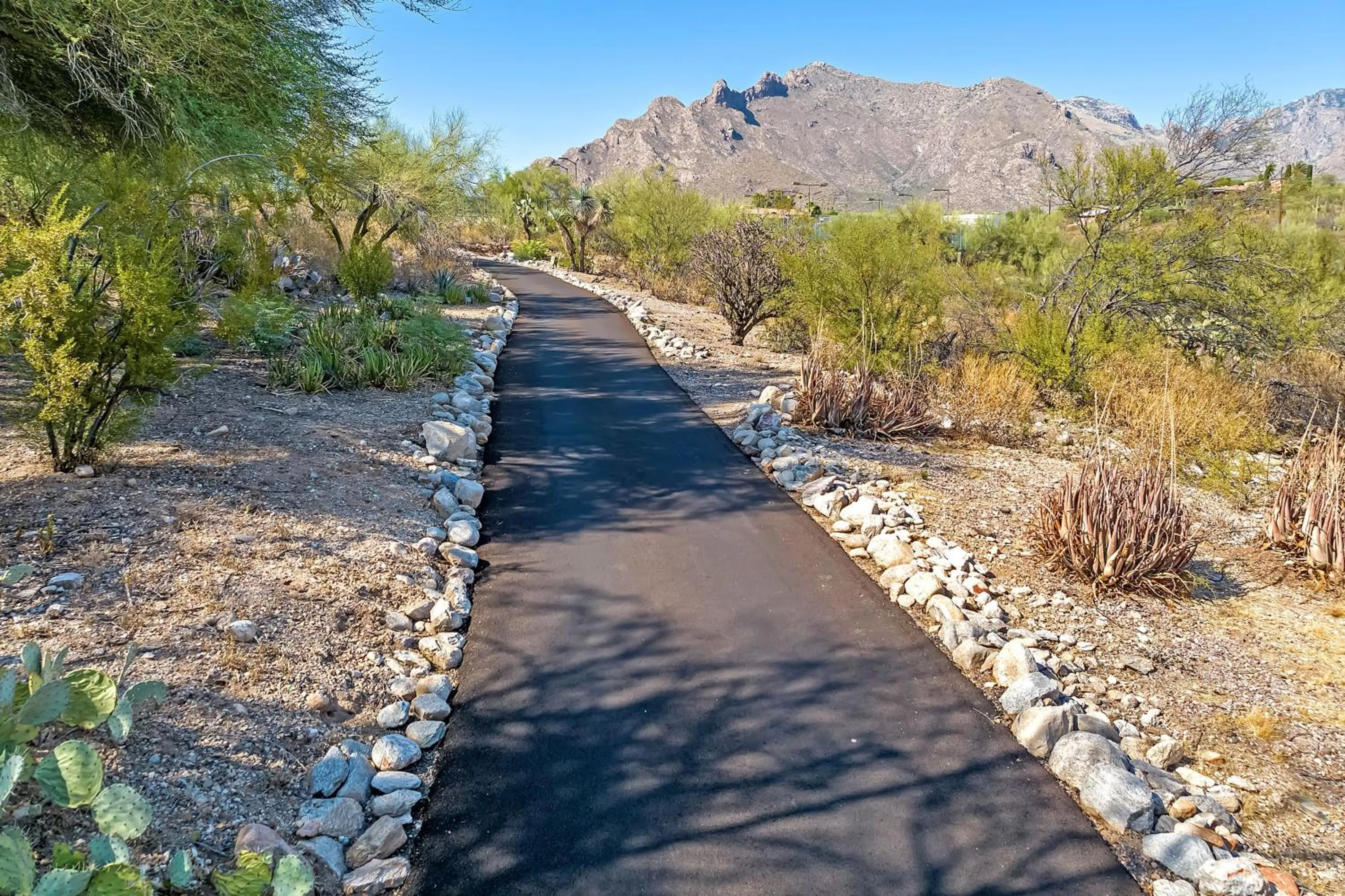 Hiking in Westward Look Wyndham Grand Resort & Spa