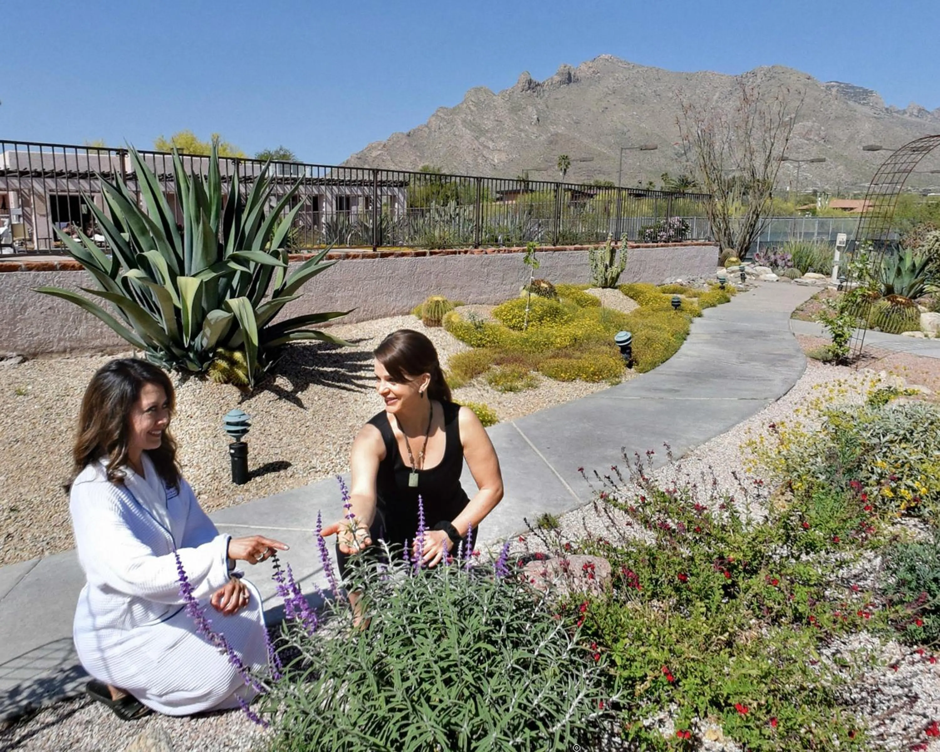 Garden in Westward Look Wyndham Grand Resort & Spa