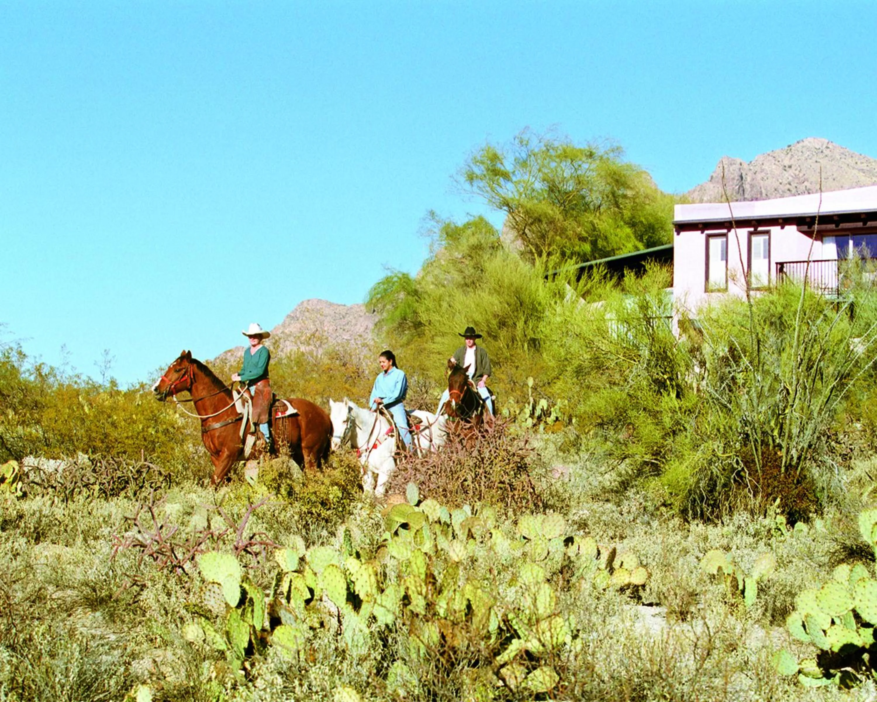 Horse-riding in Westward Look Wyndham Grand Resort & Spa