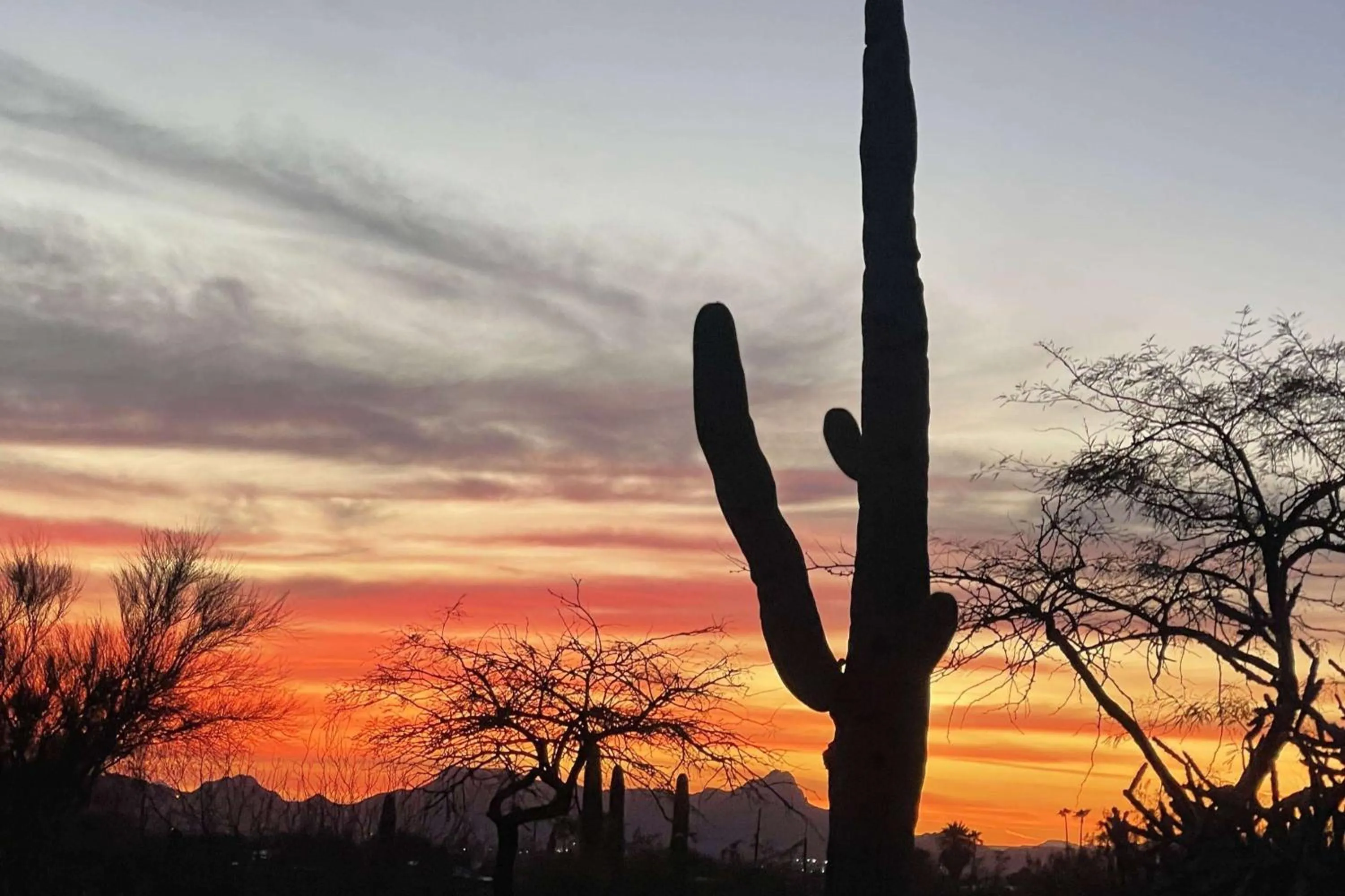 Property building in Westward Look Wyndham Grand Resort & Spa