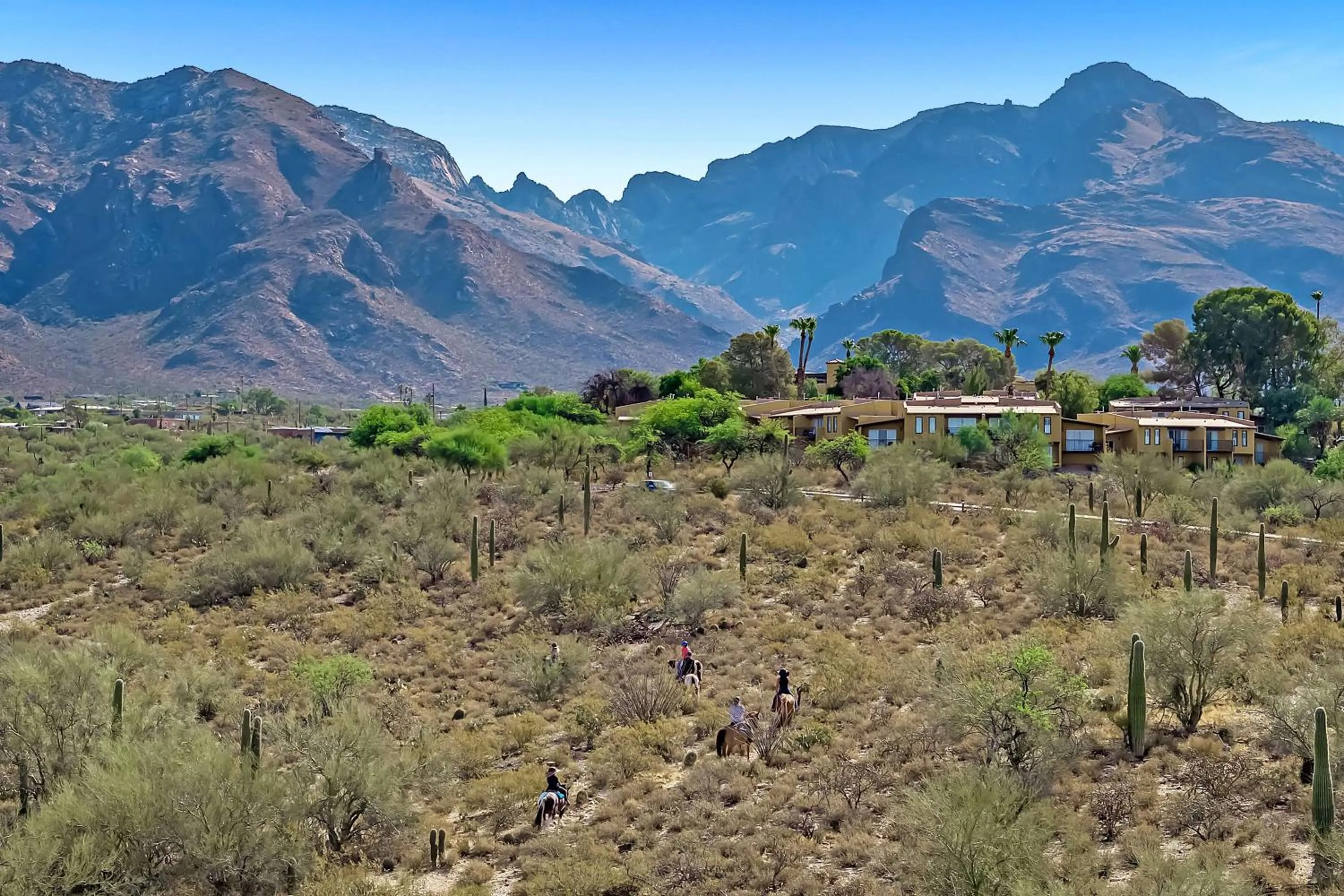 Property building in Westward Look Wyndham Grand Resort & Spa