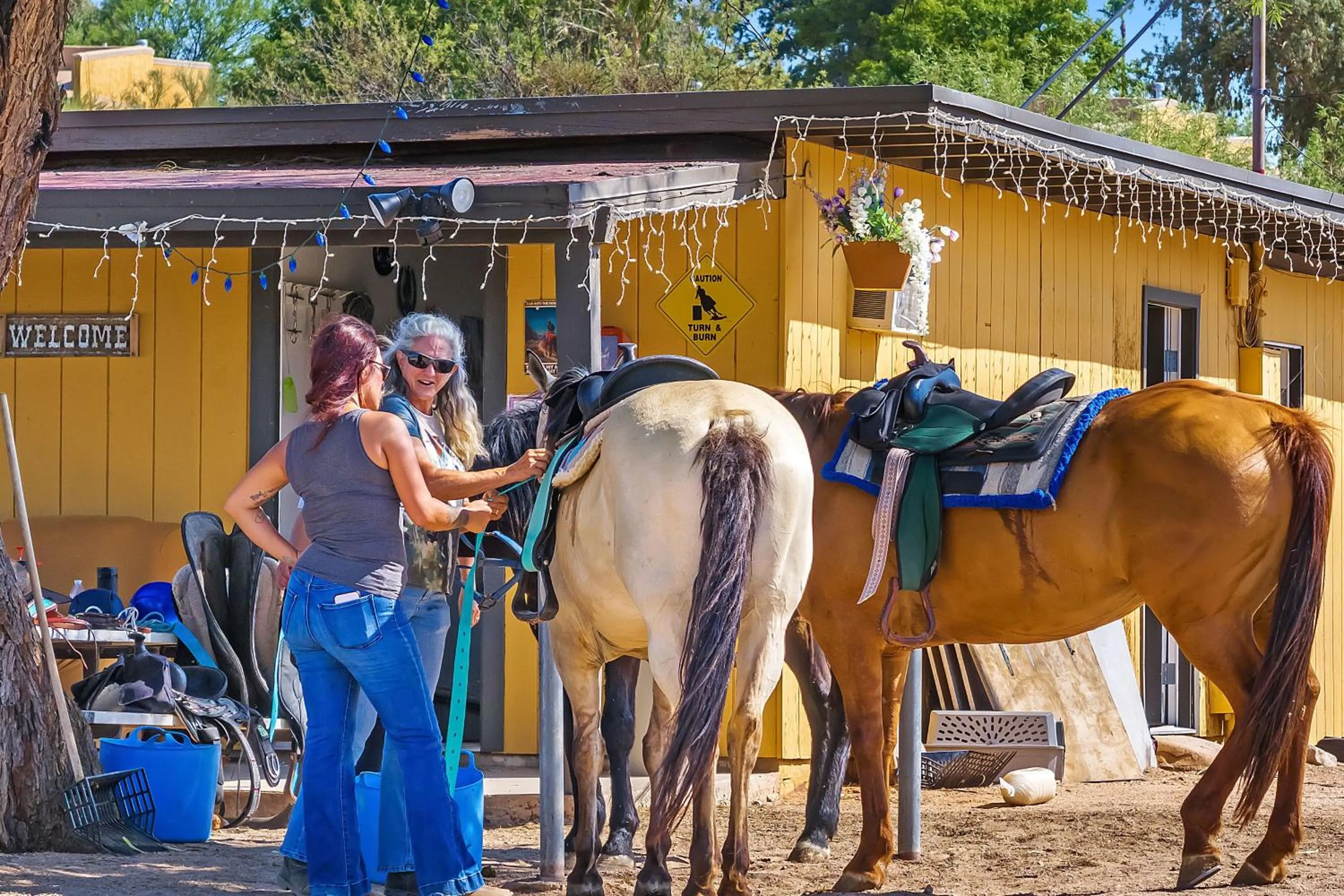 Horse-riding in Westward Look Wyndham Grand Resort & Spa