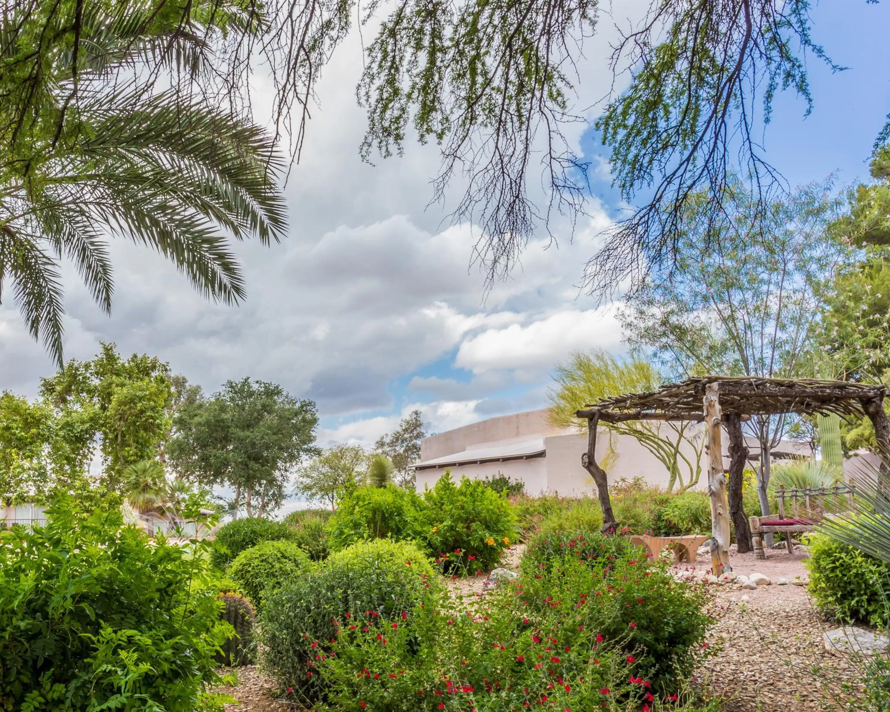 Garden in Westward Look Wyndham Grand Resort & Spa