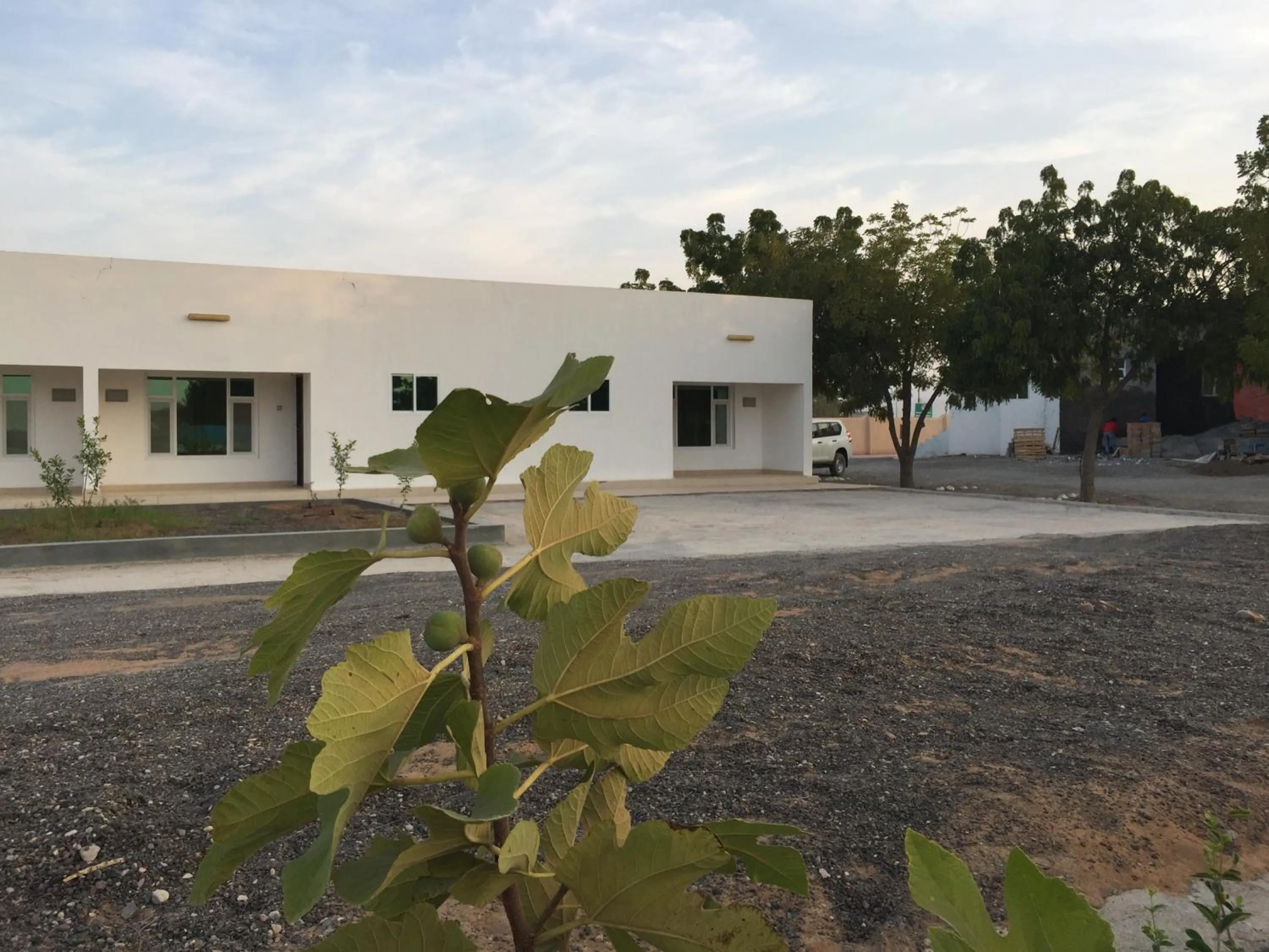 Garden in Oriental Nights Rest House