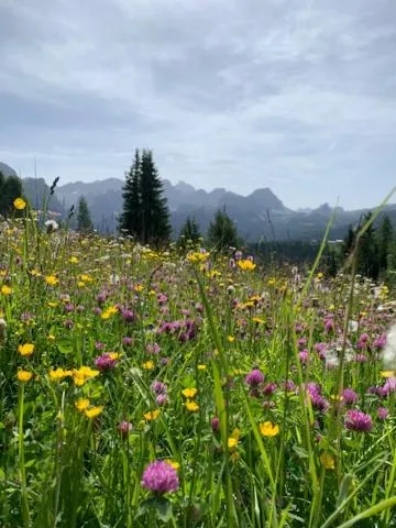 Nearby landmark in Residence Bondì