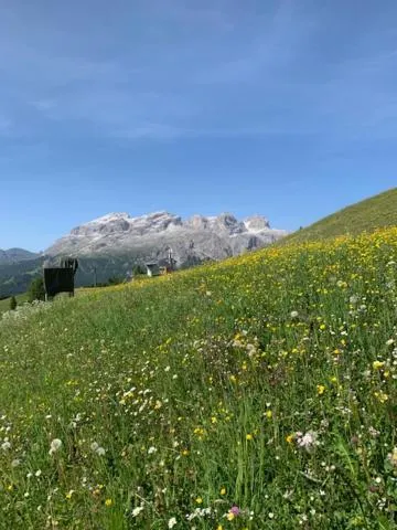 Natural landscape in Residence Bondì