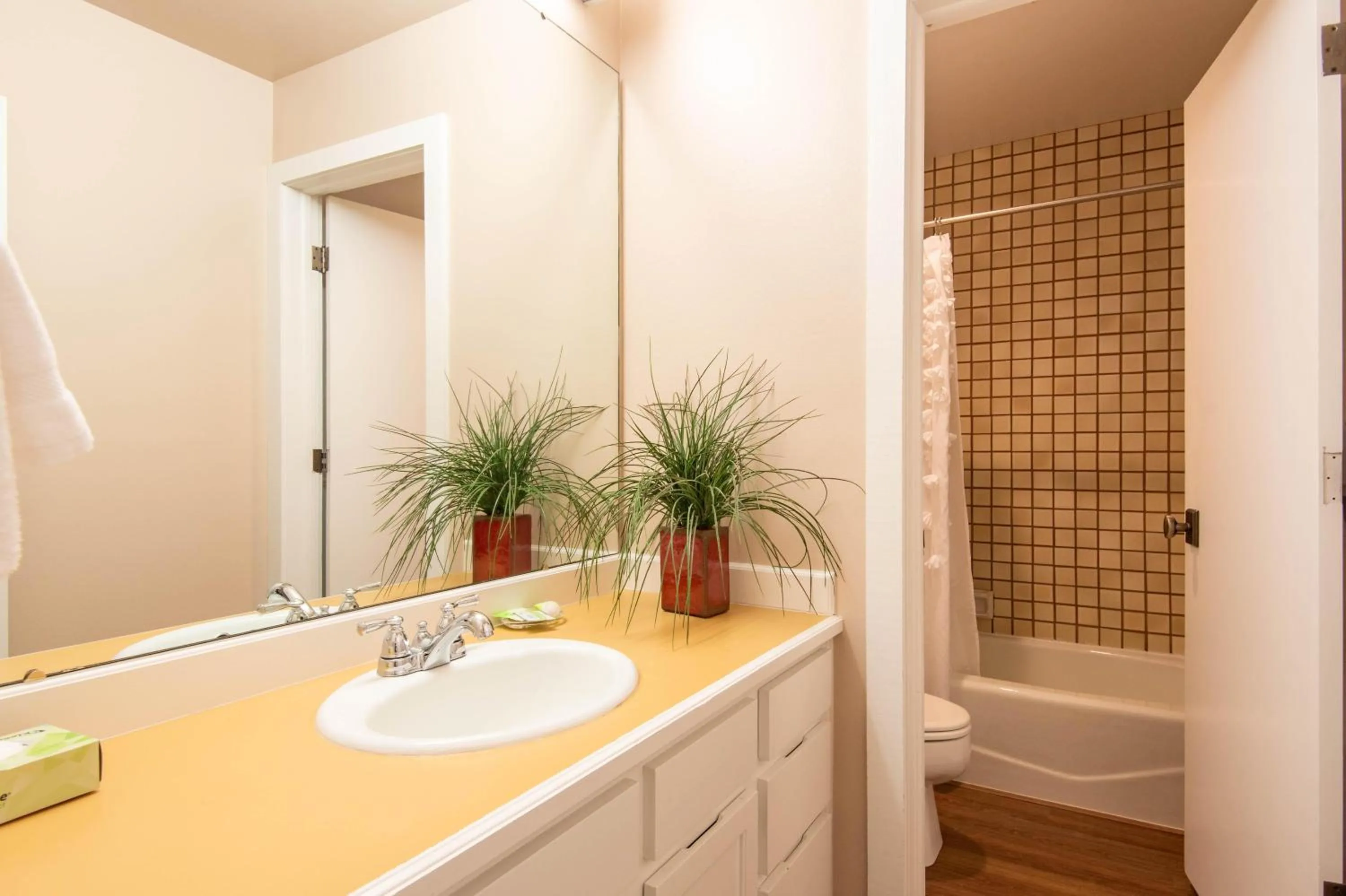 Knob Hill Ridge Townhome 1