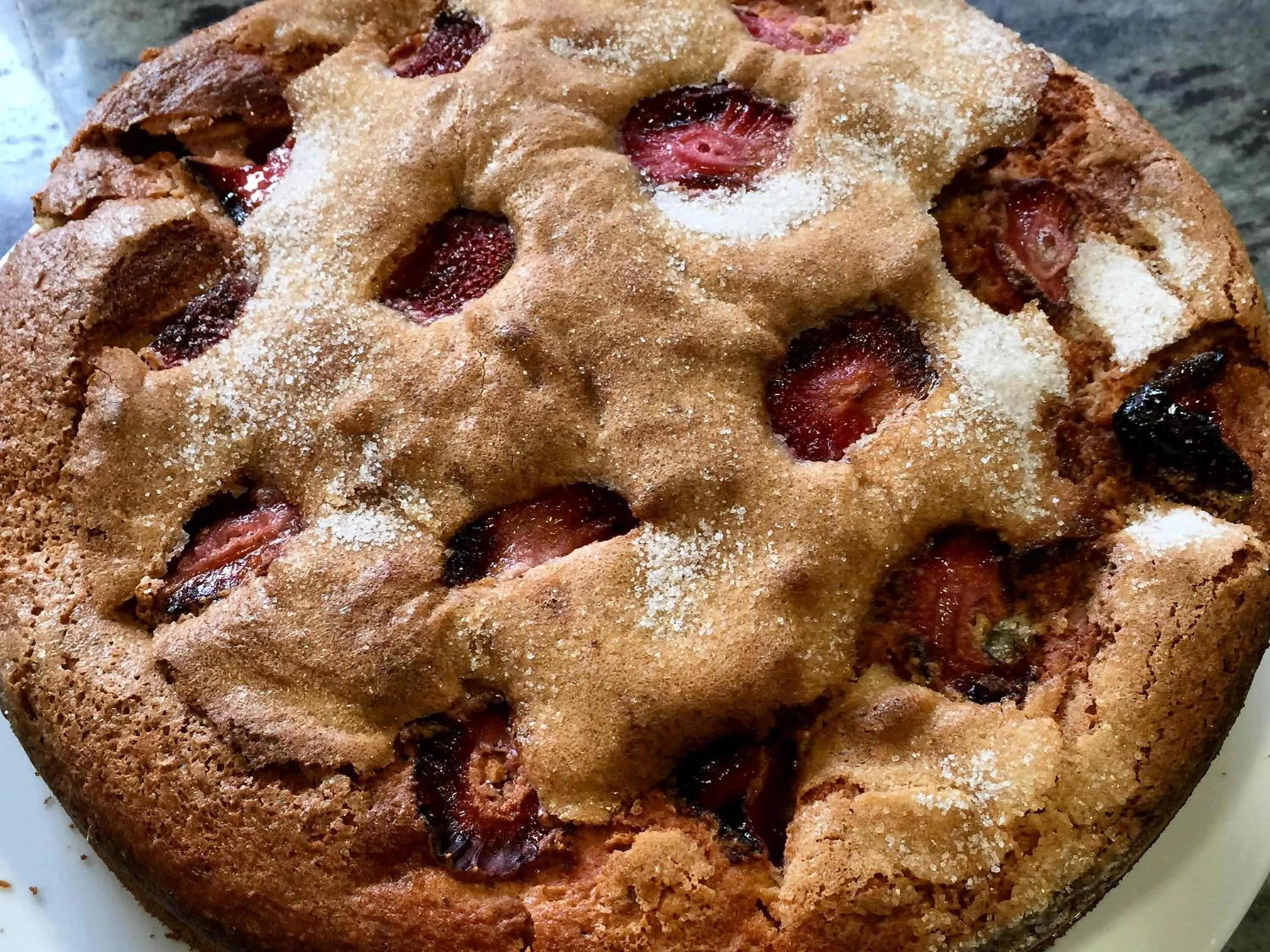 Buffet breakfast in Mas Torrencito Pet Friendly