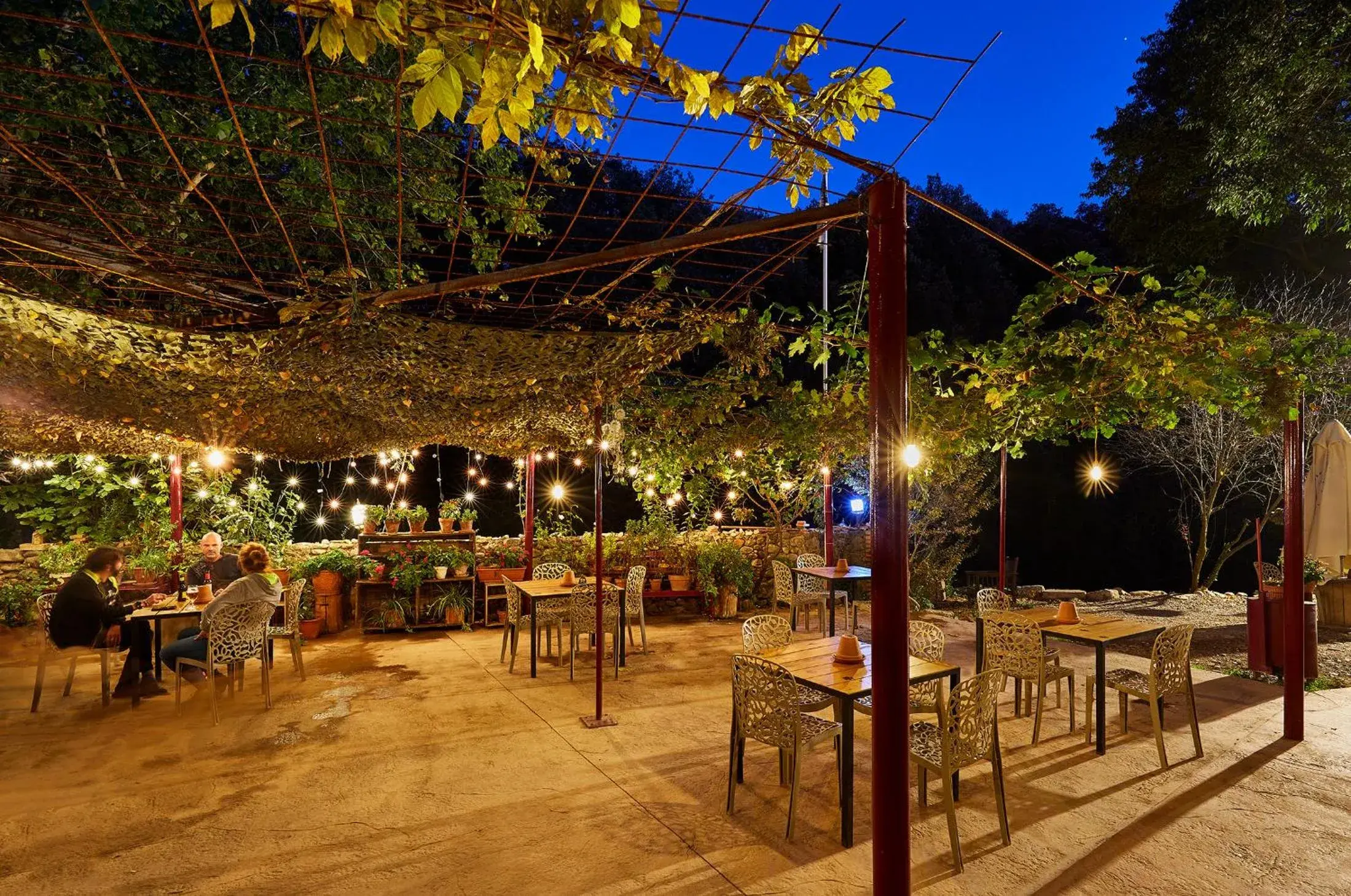 Garden view in Mas Torrencito Pet Friendly Garden view in Mas Torrencito Pet Friendly