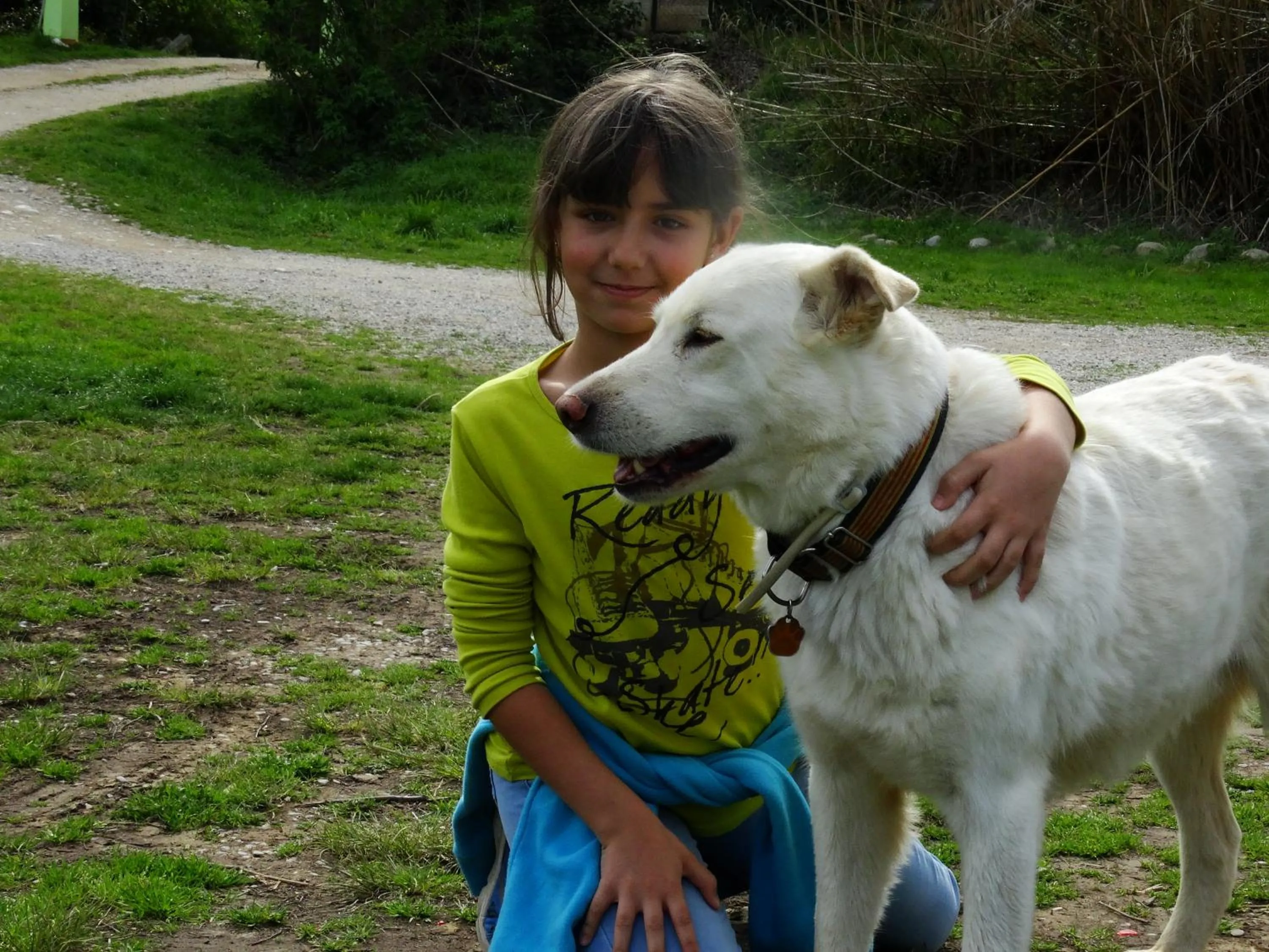 Pets in Mas Torrencito Pet Friendly