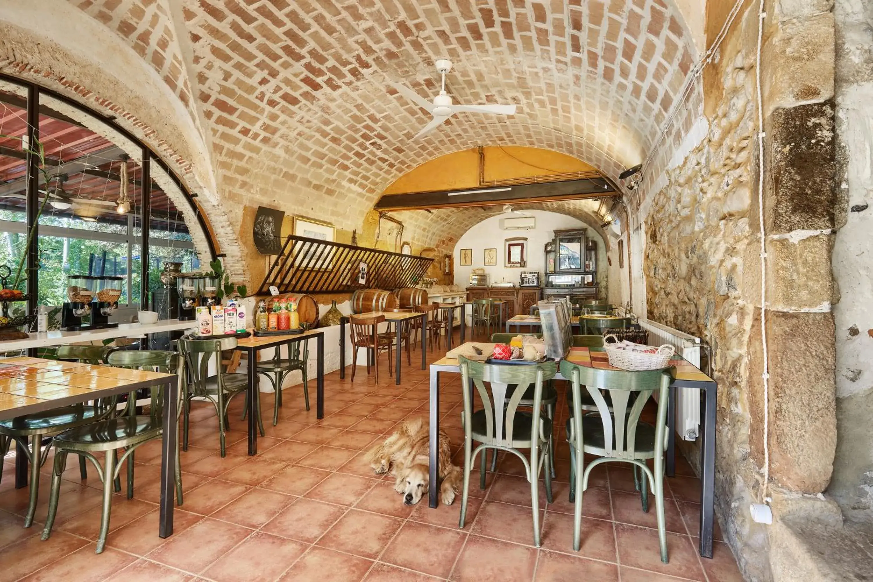 Restaurant/places to eat in Mas Torrencito Pet Friendly Restaurant/places to eat in Mas Torrencito Pet Friendly