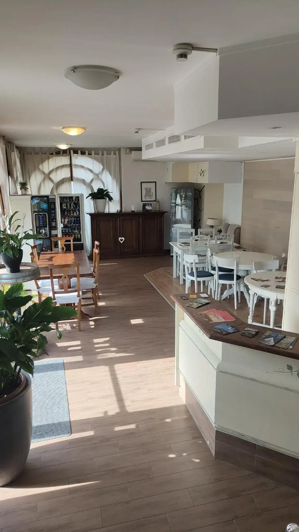 Restaurant/places to eat in Casa Zen Restaurant/places to eat in Casa Zen